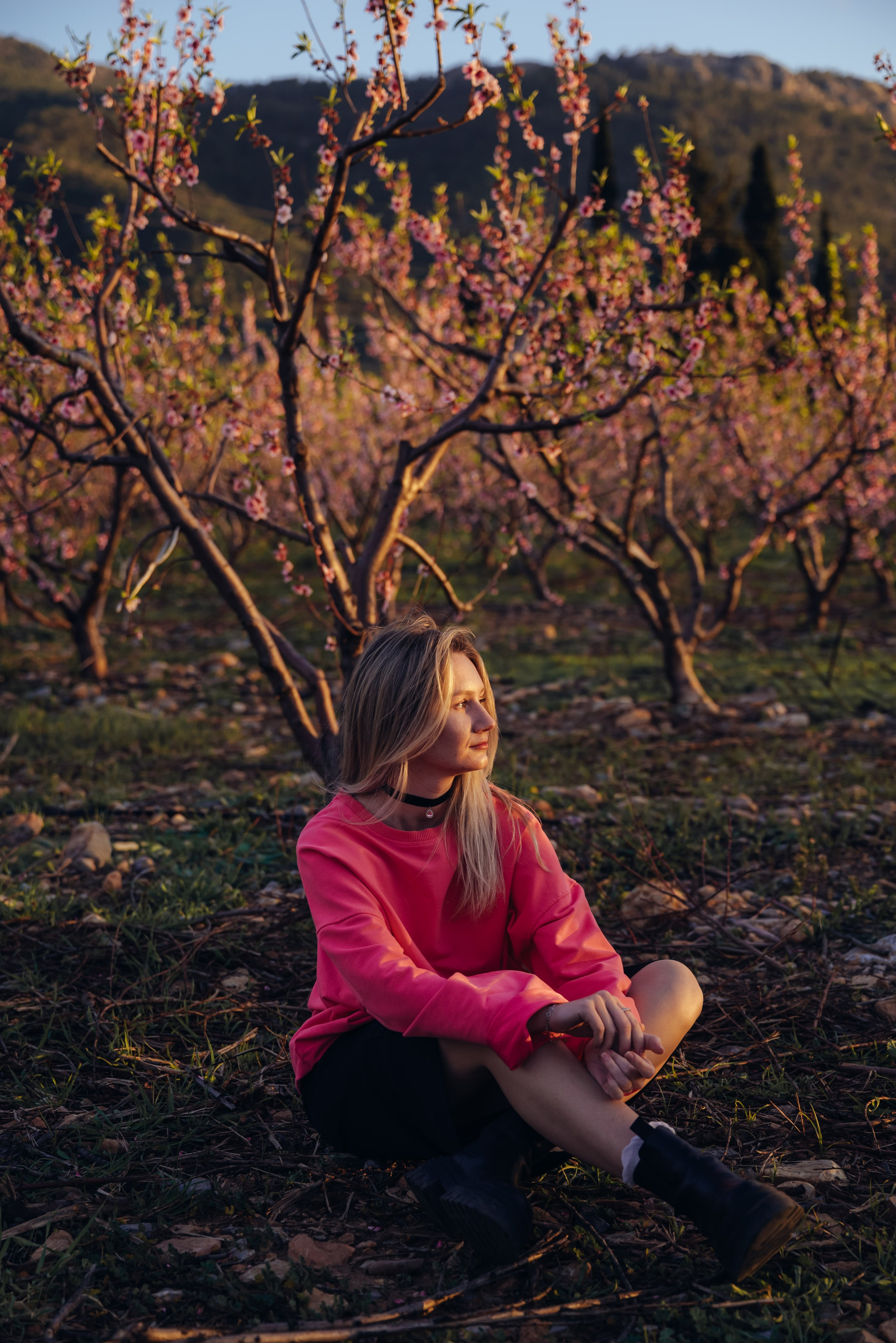 Цветущий миндаль. Анна Лобанова | фотограф