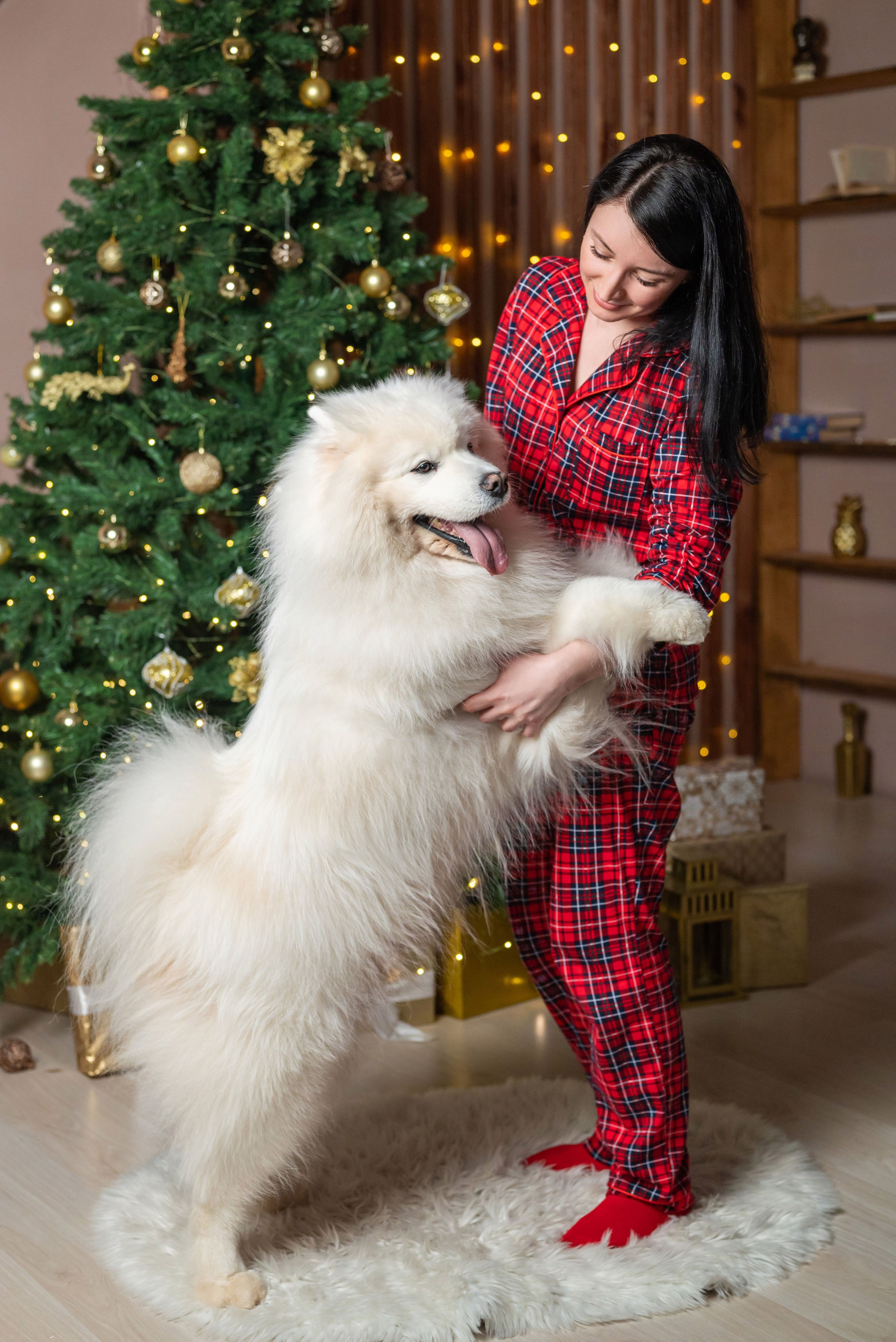 Фотопроект с самоедом 2023 г. Фотограф в городе Салават