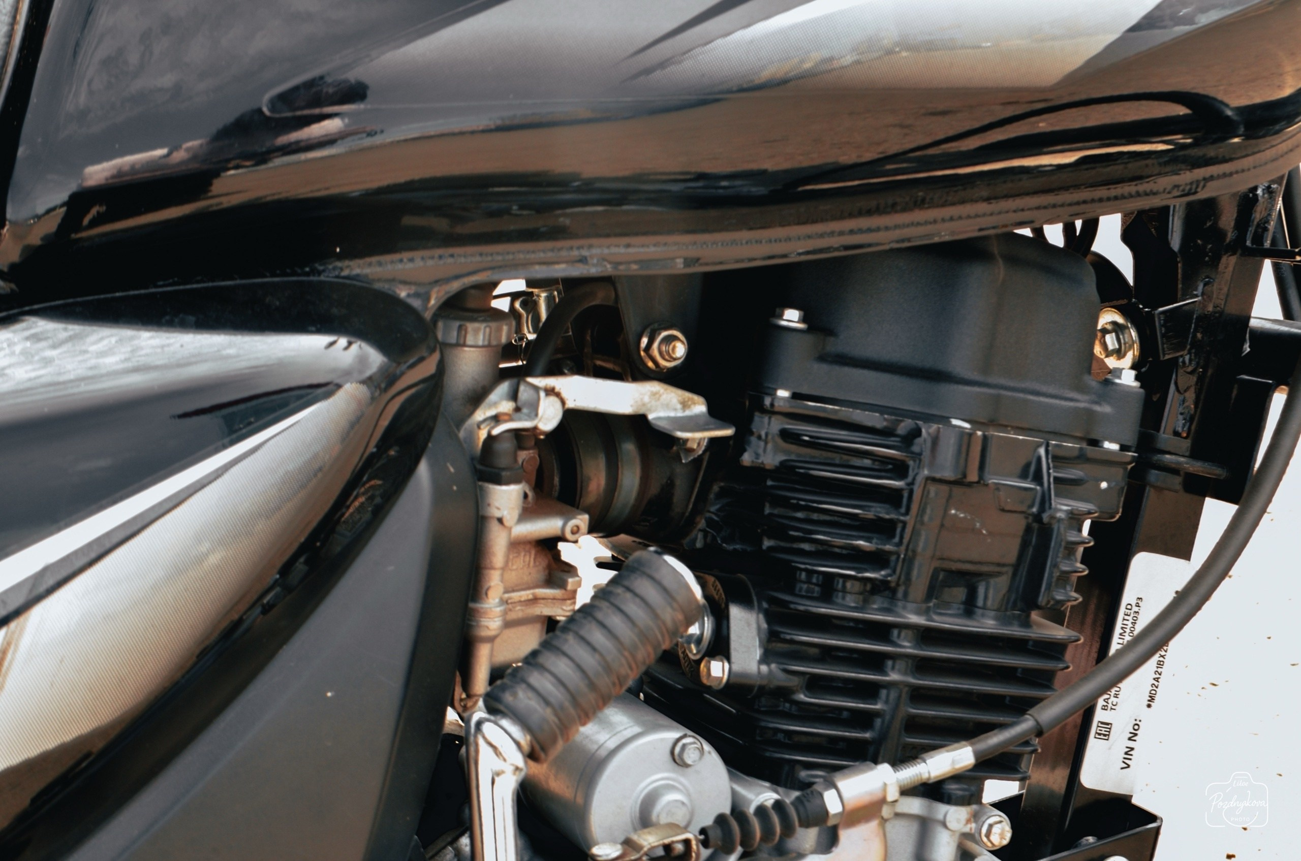 Иван Сафронов |27.07.2025. Фотограф-видеограф Познякова Любовь