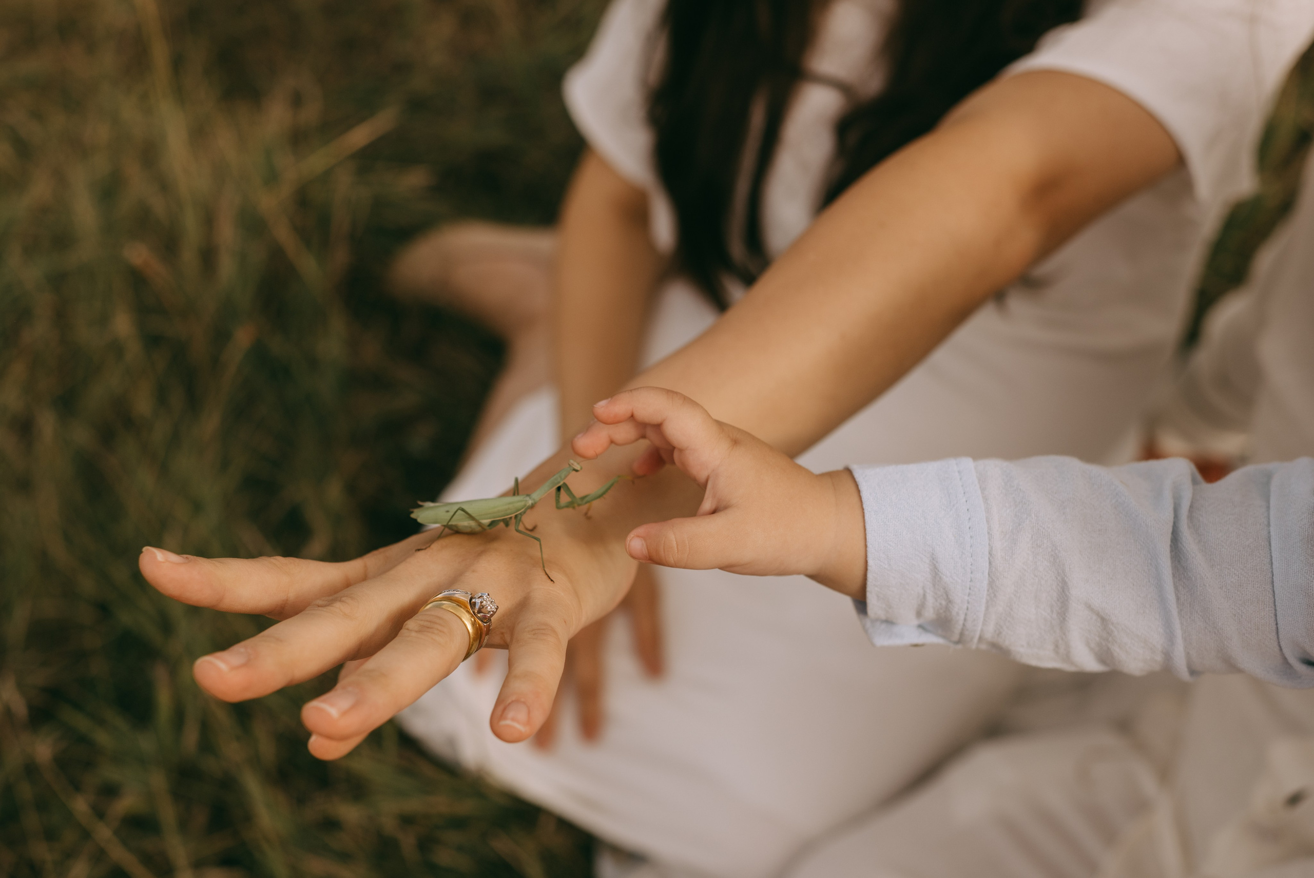 Давид Бурастан и Оганес. Свадебный и семейный фотограф в Самаре Головань Наталья
