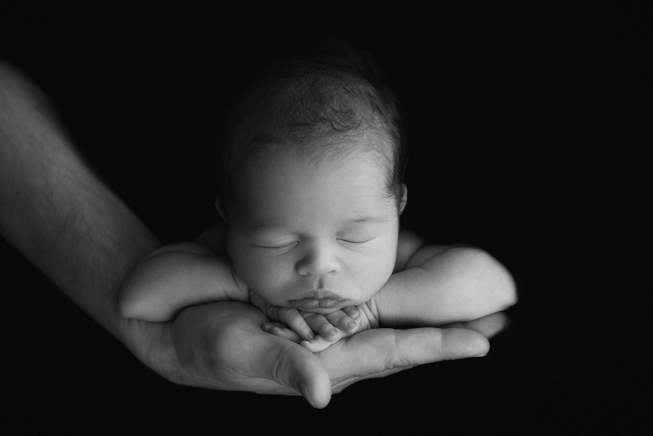 Фотосъемка новорожденного. Фотограф беременности, новорожденных и детей до года в Челябинске Волк