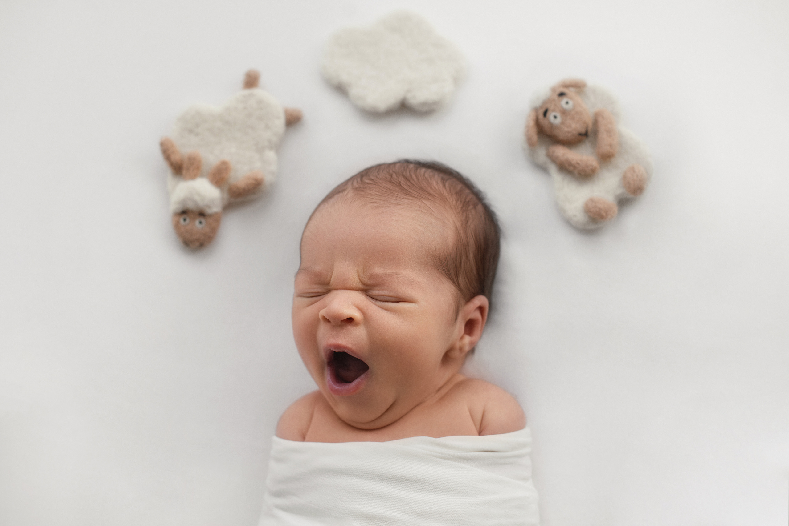 Фотосъемка новорожденного. Фотограф беременности, новорожденных и детей до года в Челябинске Волк