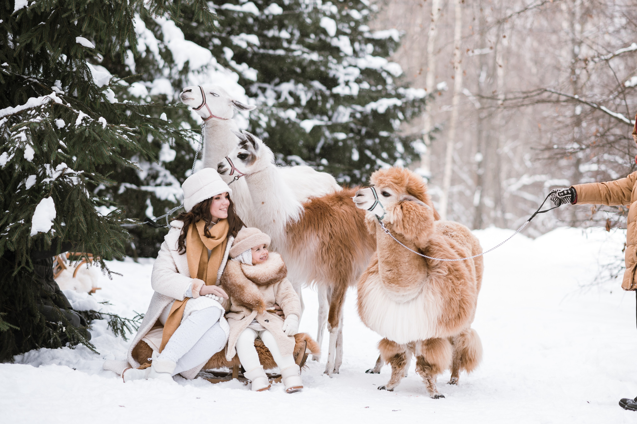 Winter. Семейный и контент фотограф