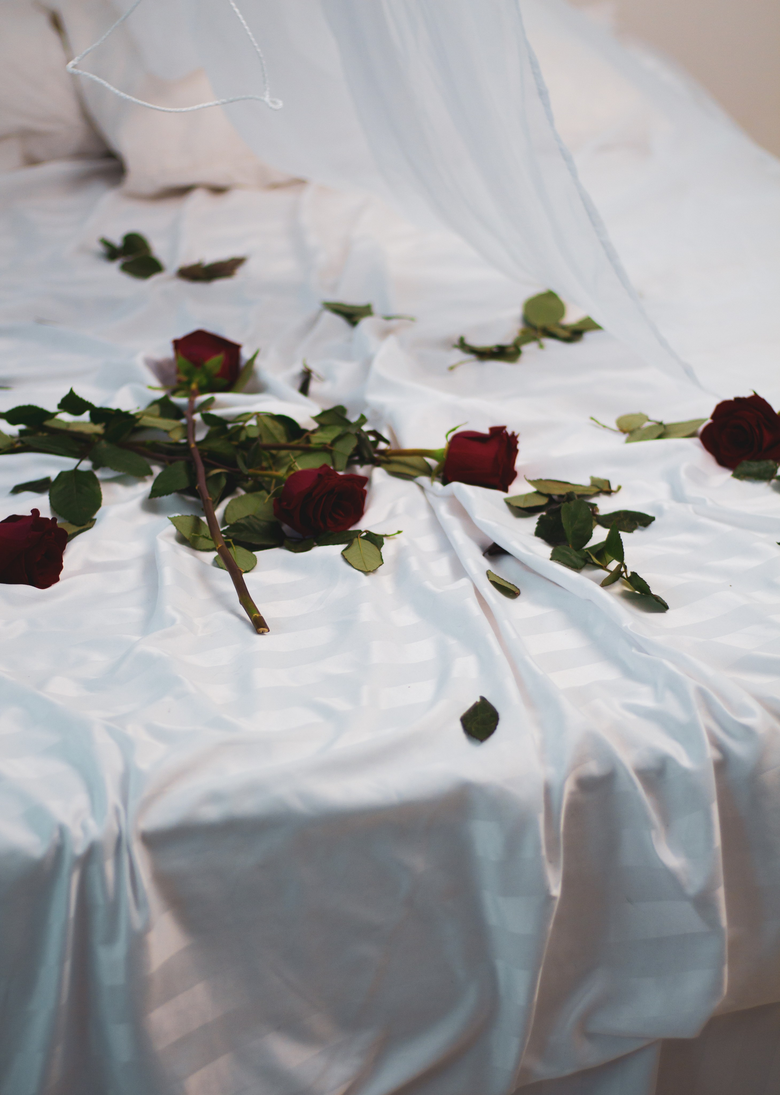 Парная съемка — Юлия и Сергей. Портретный фотограф в Орле. Готовые фото за 3 дня! Помощь в позировании. Советы по организации