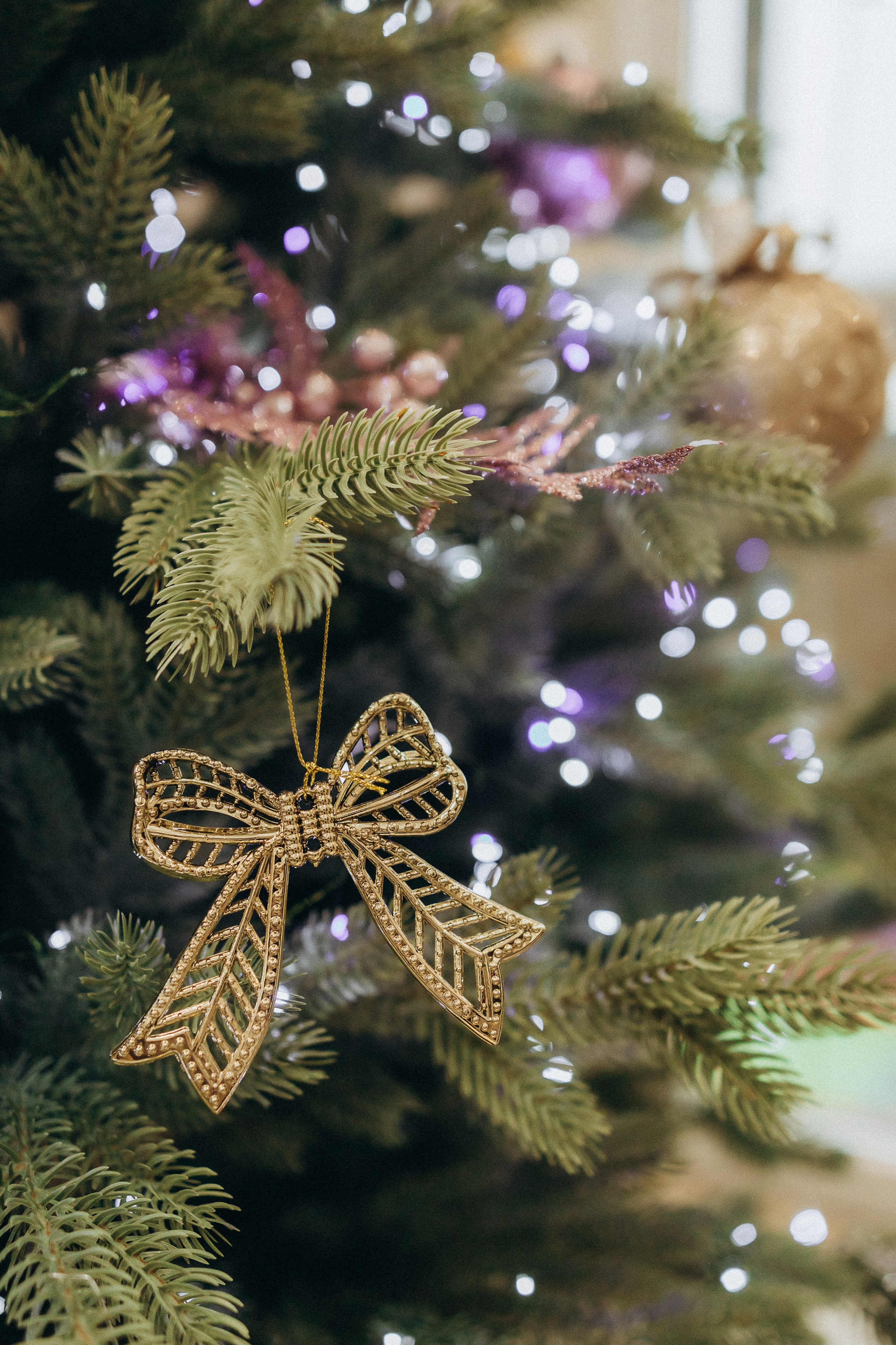 Сергей, Наташа, Тимур и Вероника. Семейный фотограф и детский фотограф в Волгограде Алеся Бутакова — дет