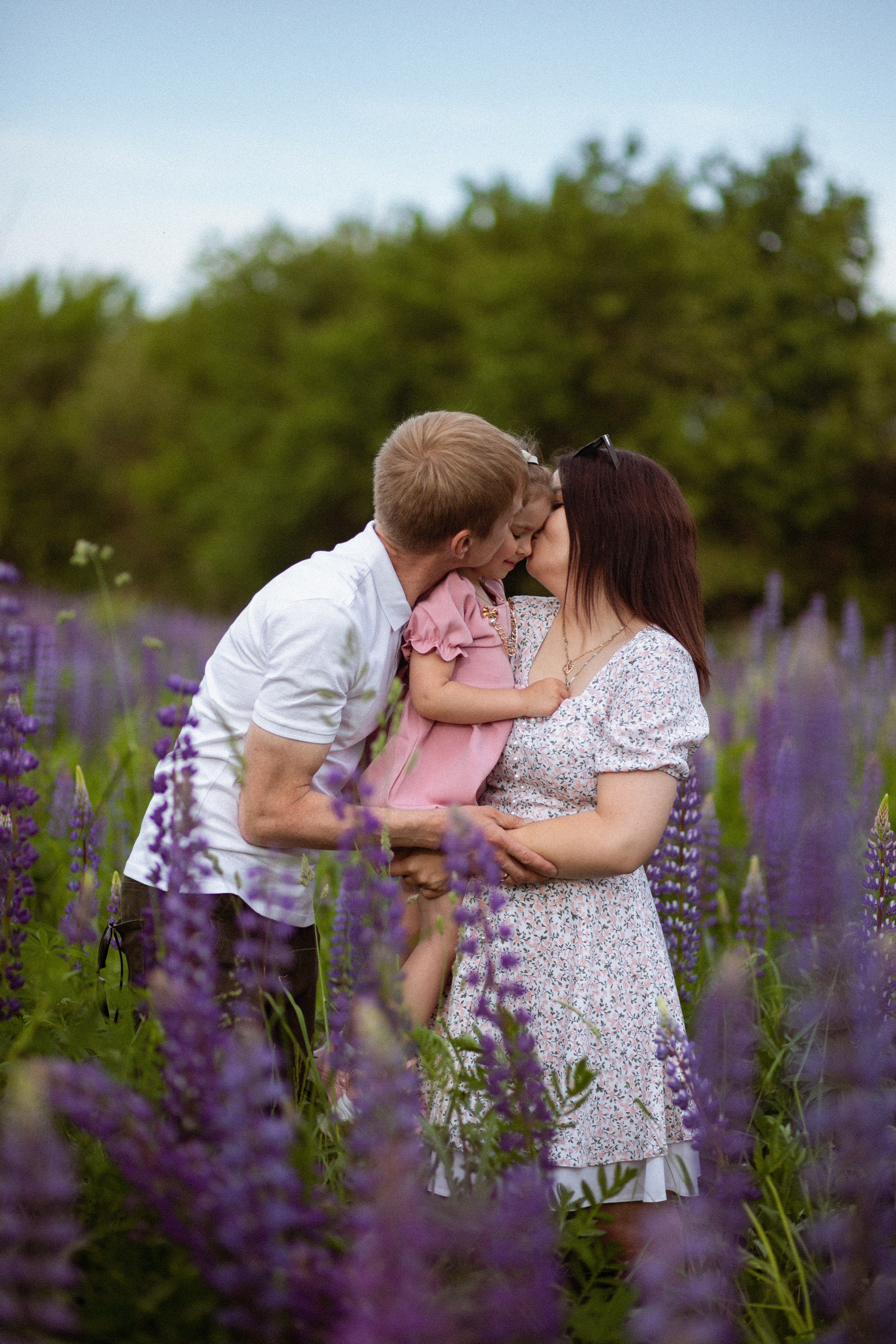 Июньские люпины. Фотограф в Москве/Санкт-Петербурге