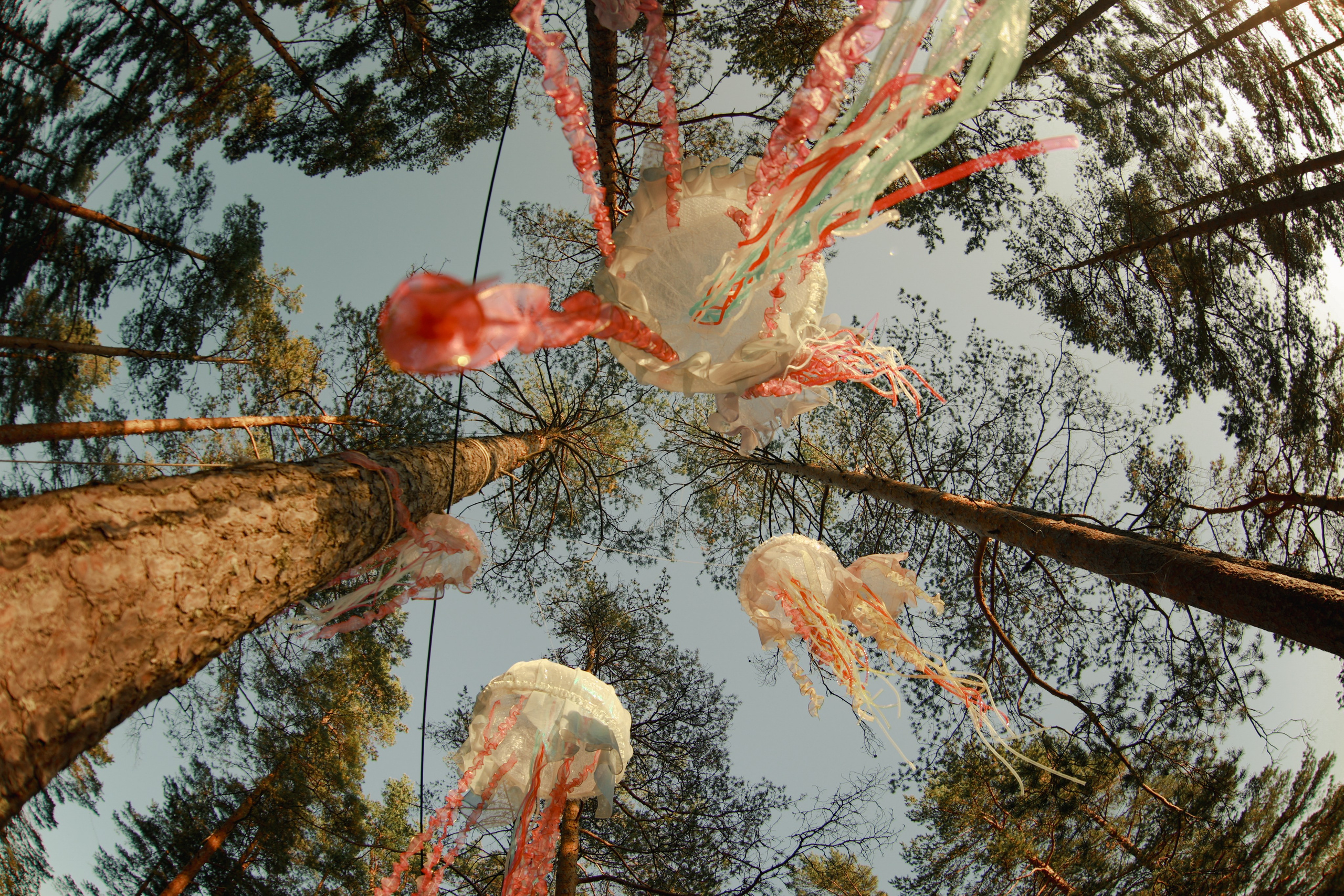 Фестиваль Hello Camper закрытие 2024. Репортажный и портретный фотограф в Санктпетербурге. Видиосъемка мероприятий в Санкт-Петербурге