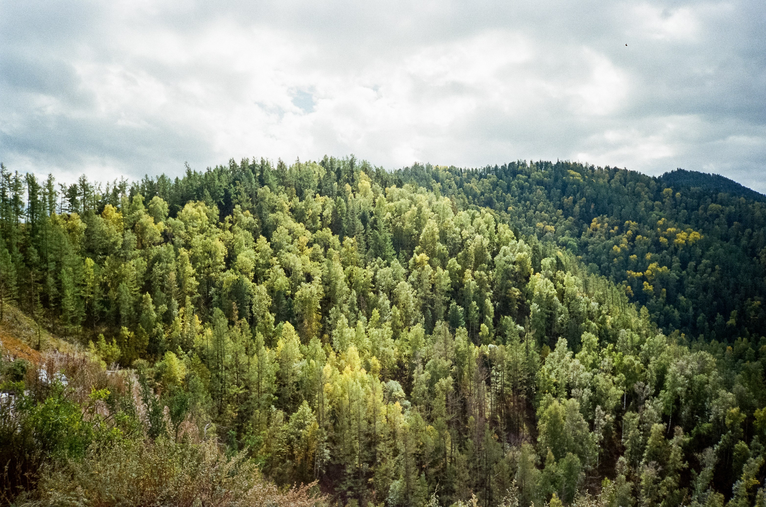Чике-Таман и встреча с Катунью. Фотограф-документалист Мария Осокина