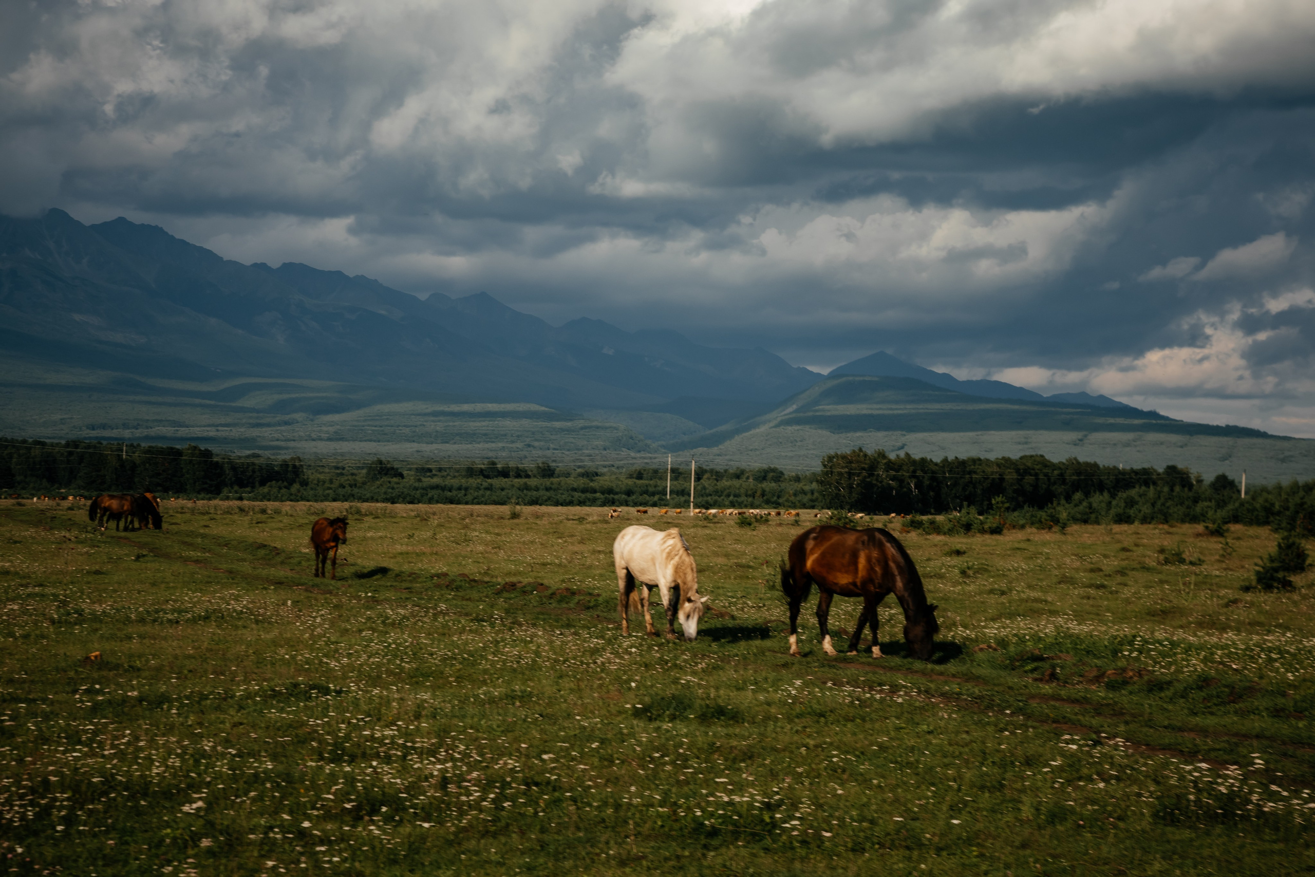 Байкал. Фотограф в Красноярске Оксана Корчагина