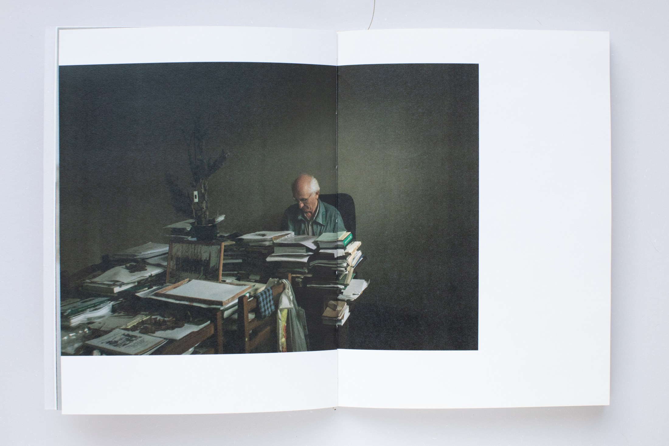 Зин «Про деревья, насекомых и людей». Natalya Madilyan