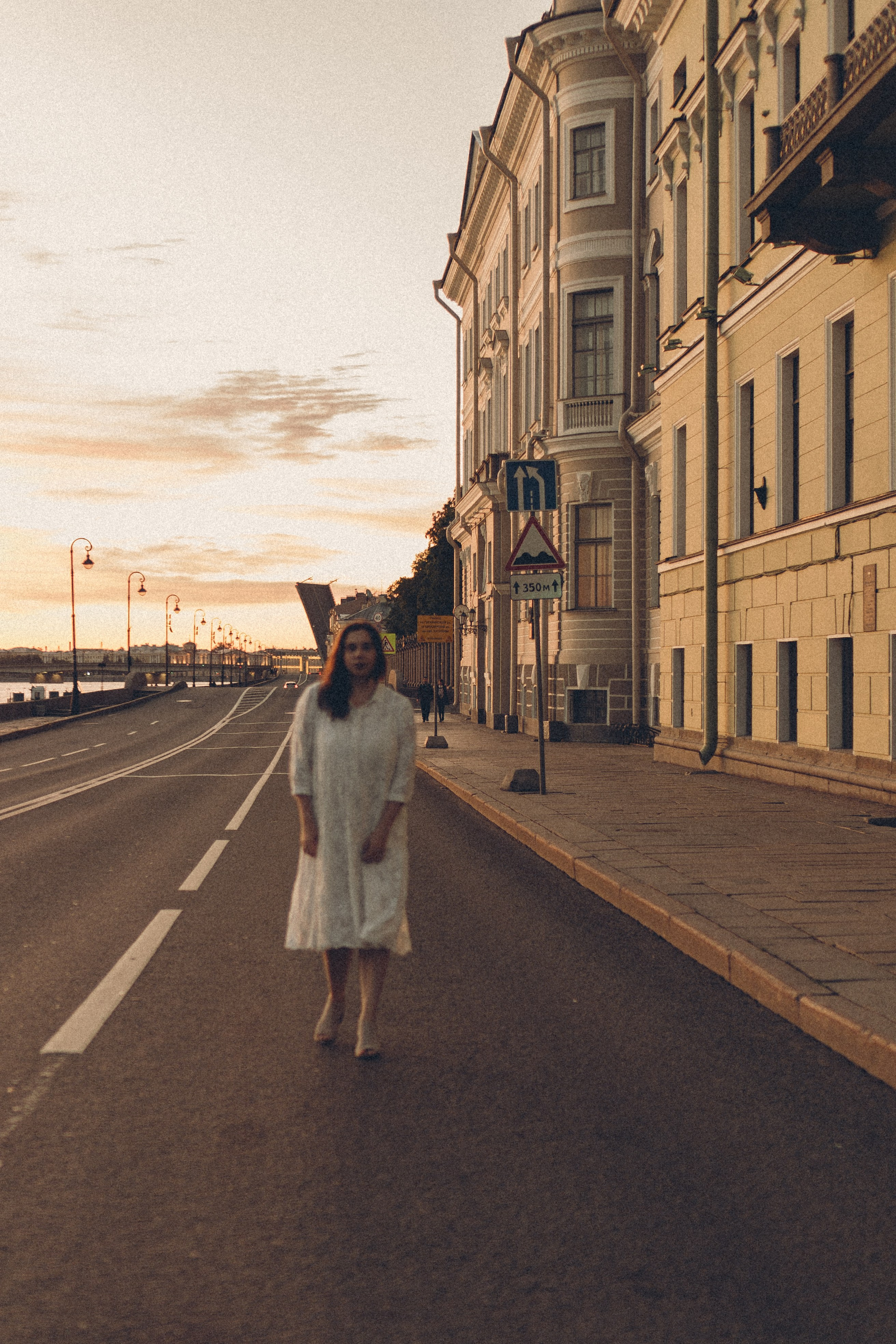 РАССВЕТ С РАЗВОДНЫМИ МОСТАМИ. Профессиональный фотограф, Санкт-Петербург — Виктория Богомолова