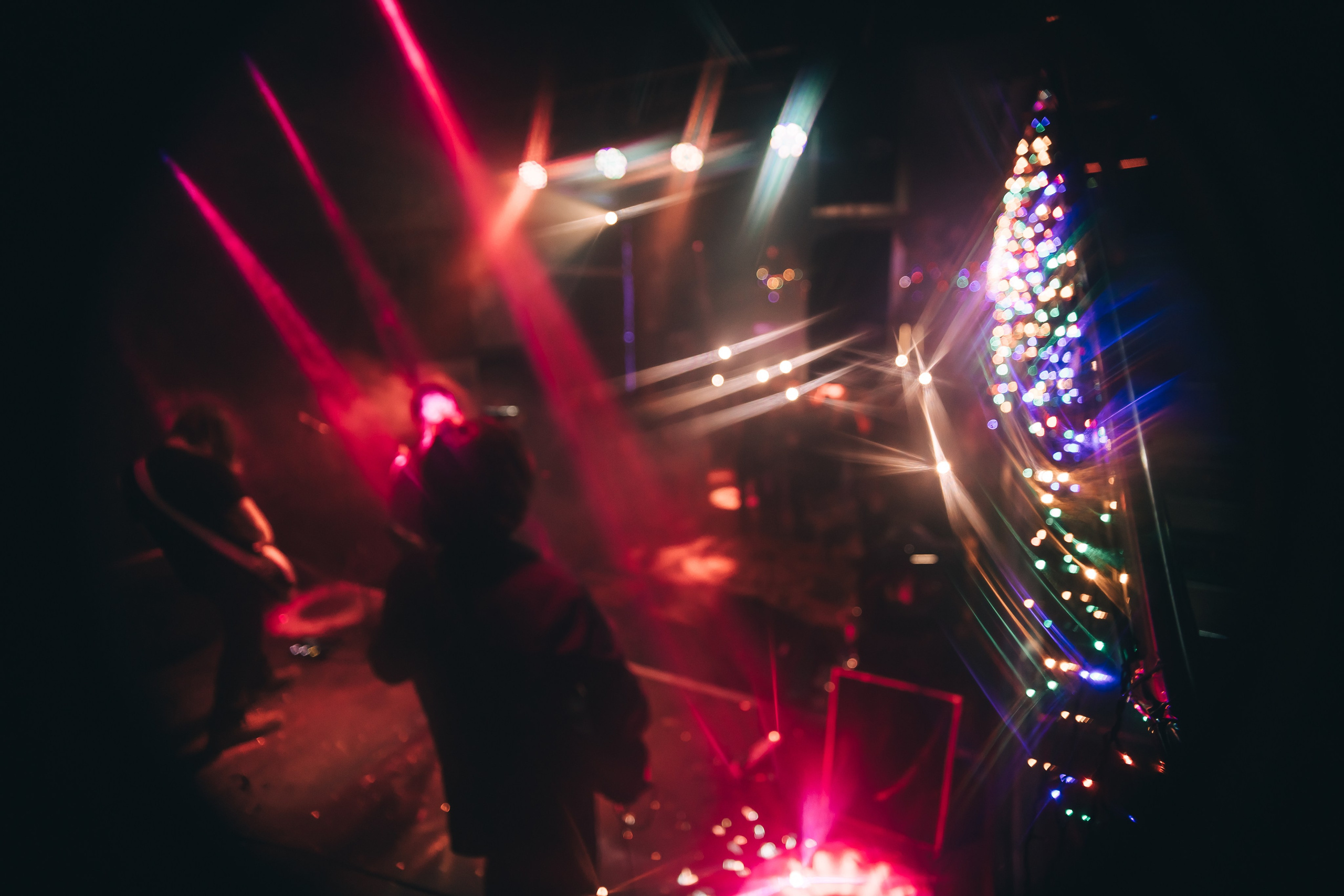 Rose park. Рок-опохмелки, клуб-галерея Эрмитаж. 06.01.2025. Фотограф Регина Крикунова г. Красноярск