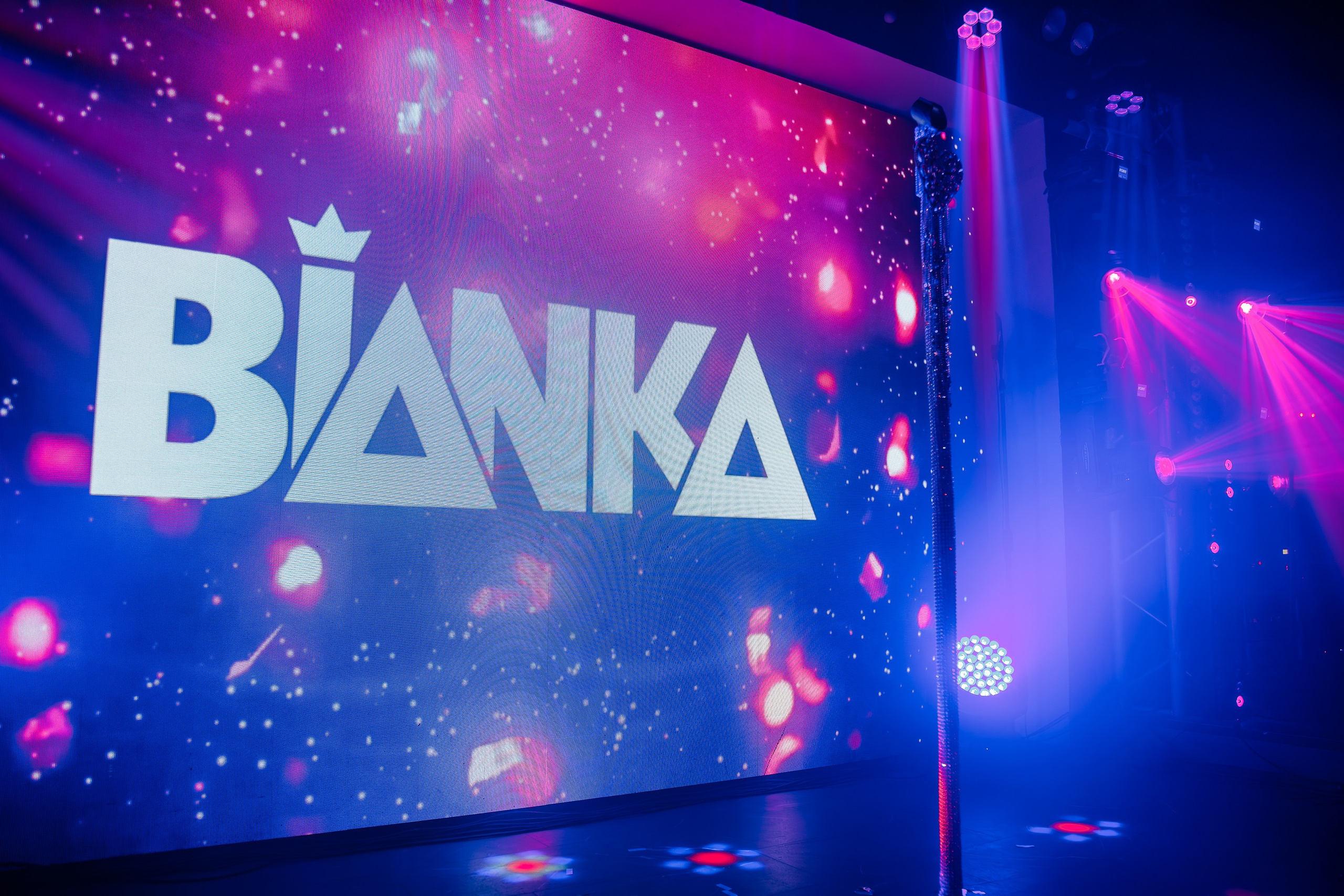 «Бьянка"_Чайка на пляже_Ялта_25.07.2025 г. Аминов Руслан | Фотограф