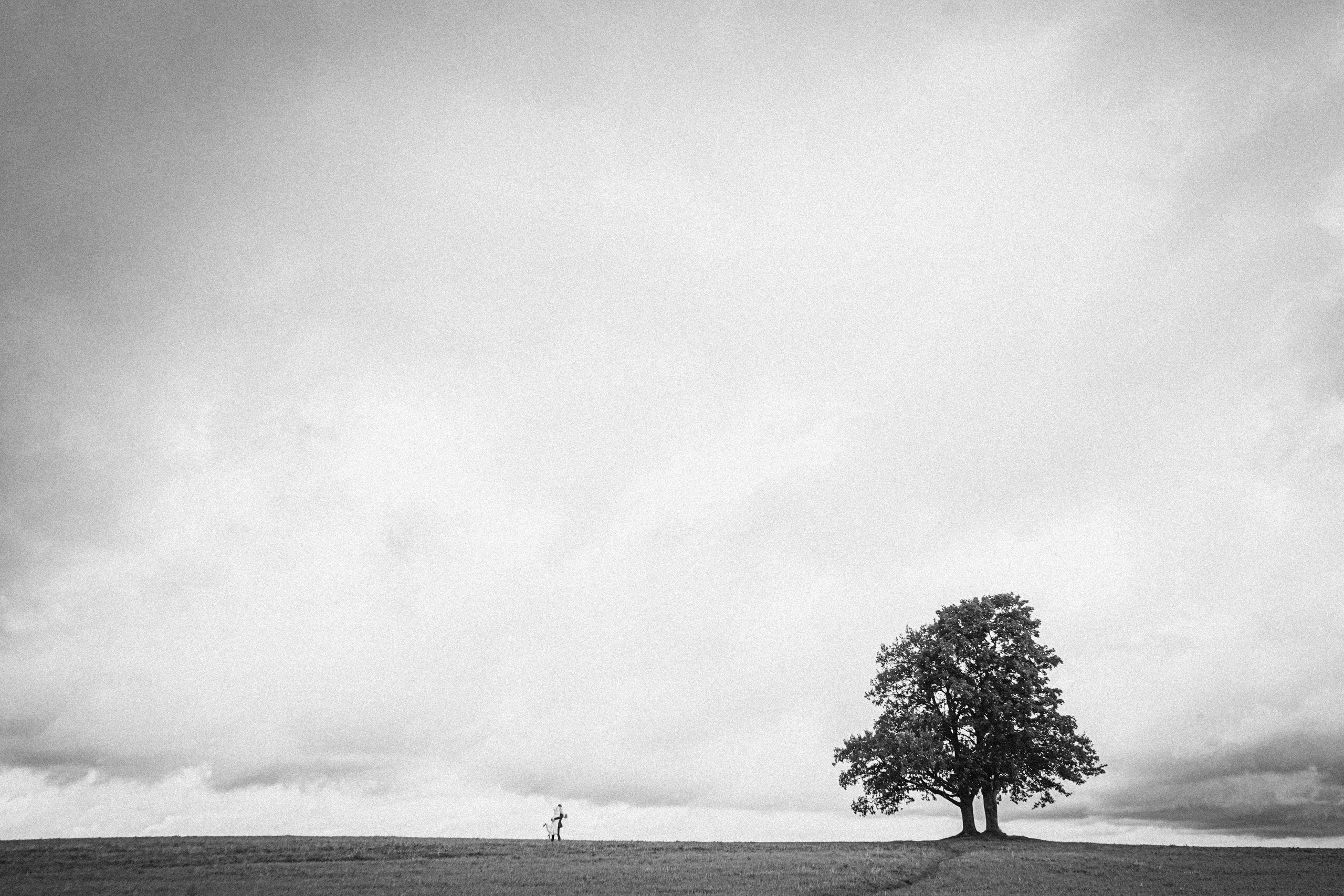 Wedding in Tbilisi. Photographer in Georgia UAE Russia Nekit Fox
