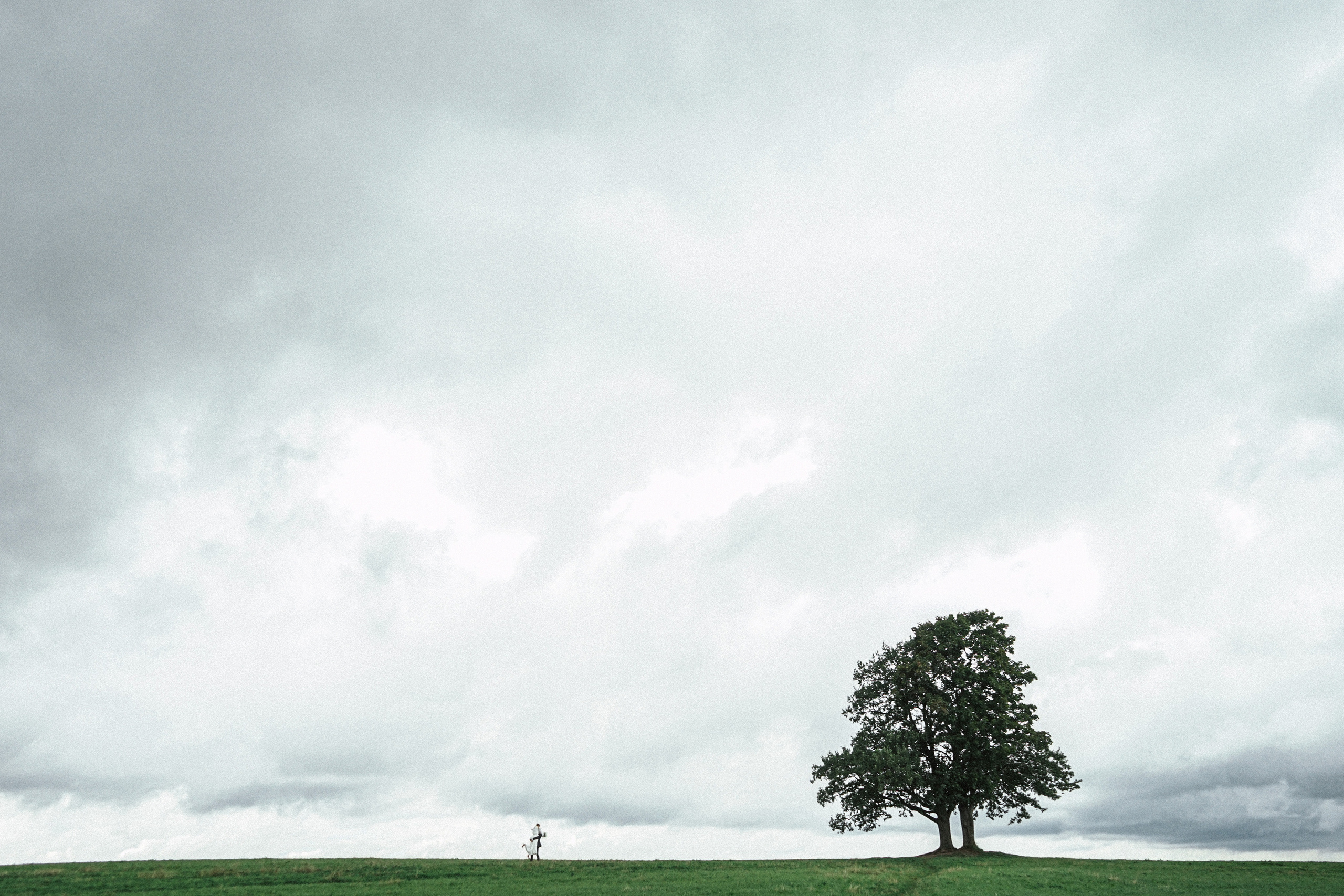 Wedding in Tbilisi. Photographer in Georgia UAE Russia Nekit Fox