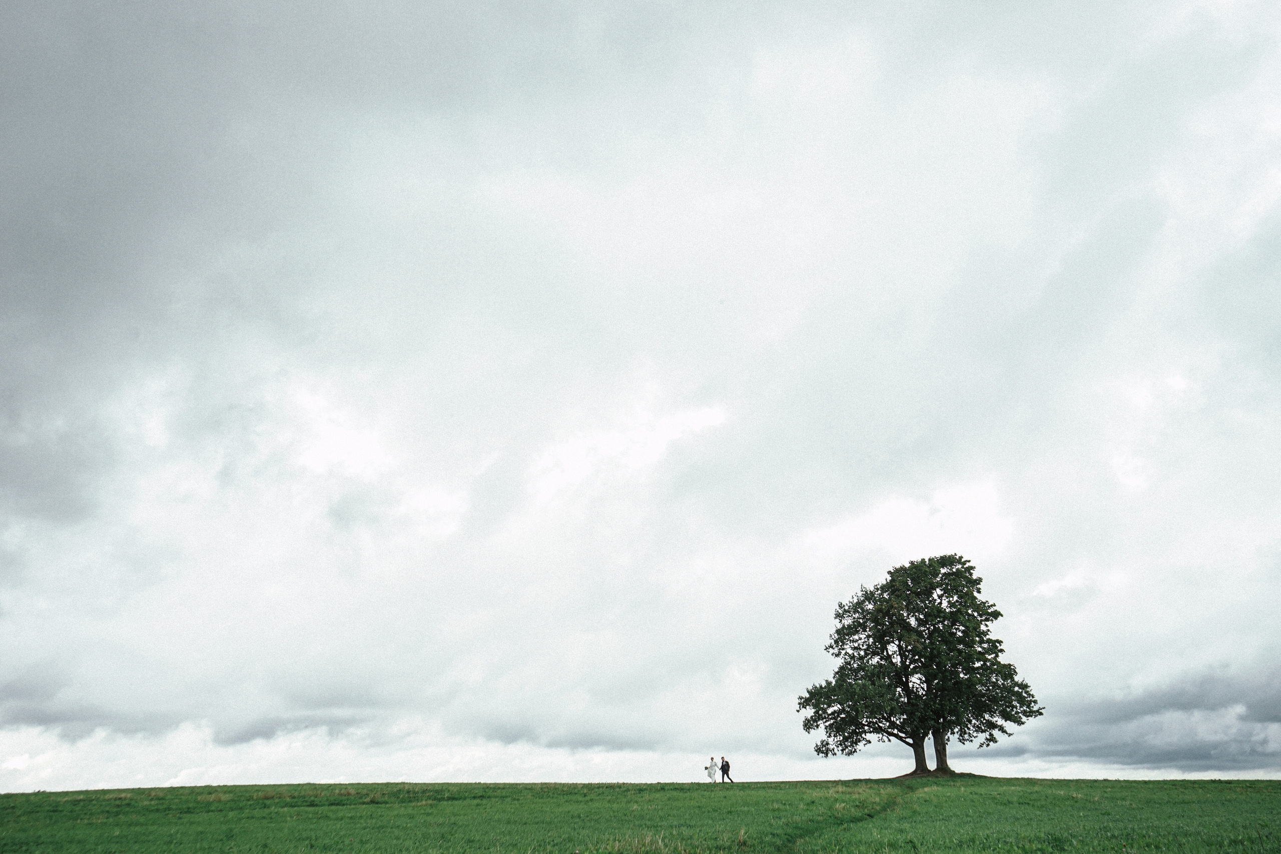 Wedding in Tbilisi. Photographer in Georgia UAE Russia Nekit Fox
