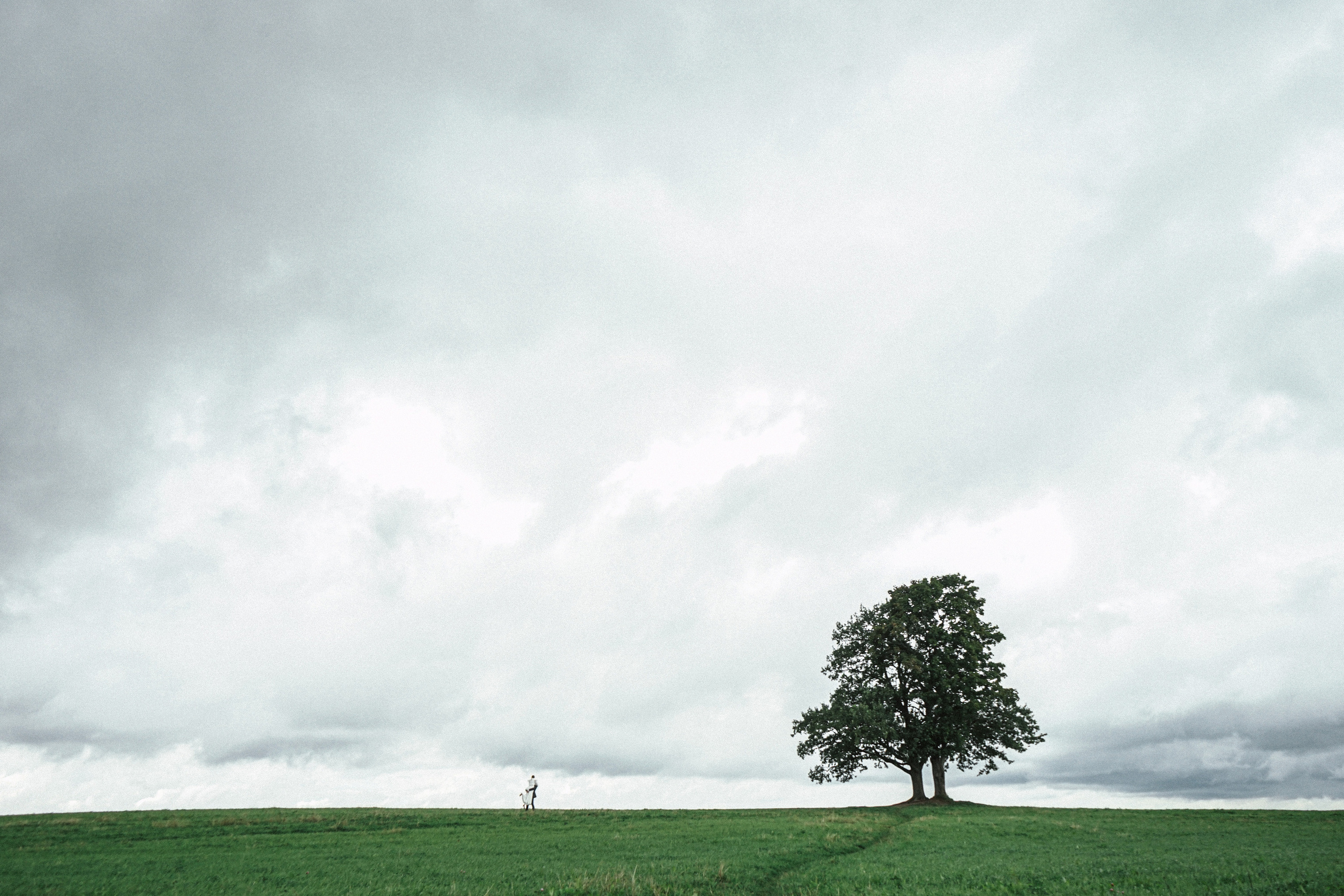 Wedding in Tbilisi. Photographer in Georgia UAE Russia Nekit Fox
