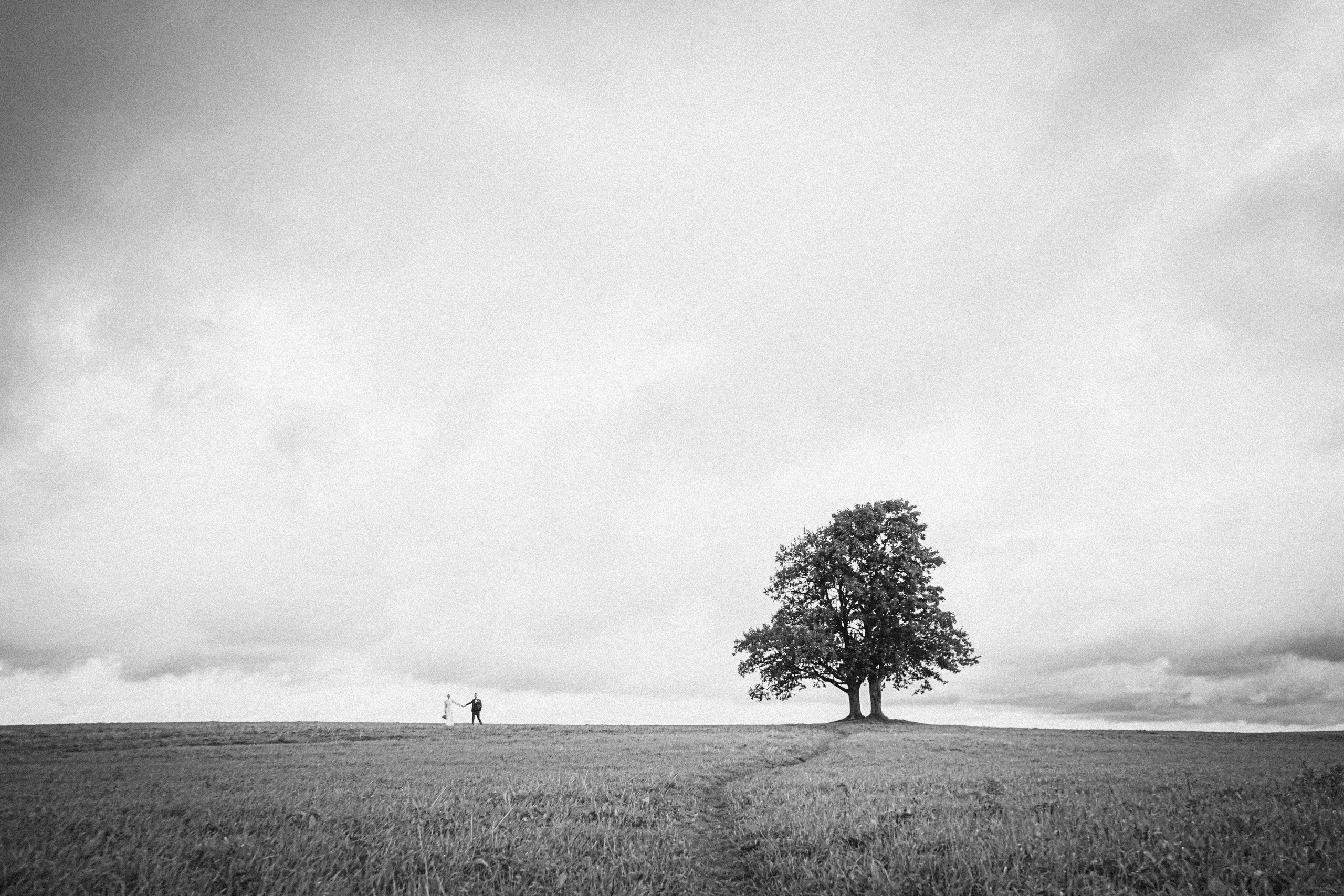 Wedding in Tbilisi. Photographer in Georgia UAE Russia Nekit Fox