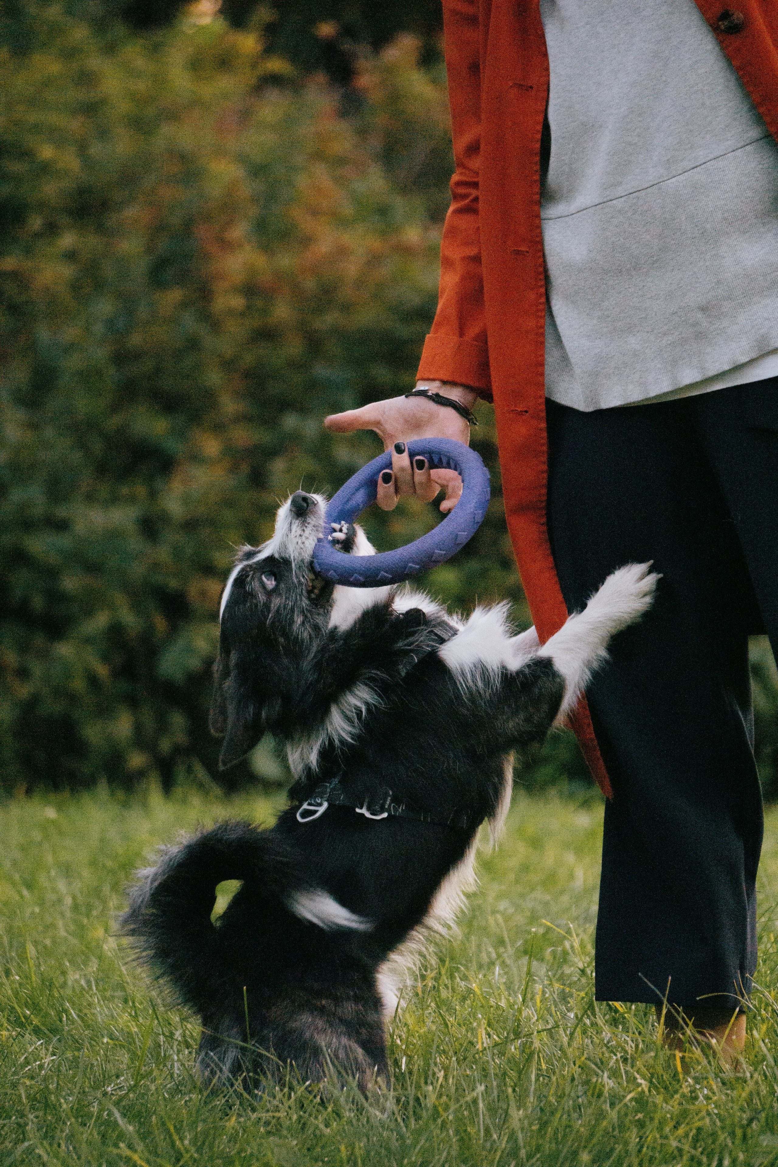 Даша и Тюбик. Фотограф-анималист Ксения Воробьева, Москва