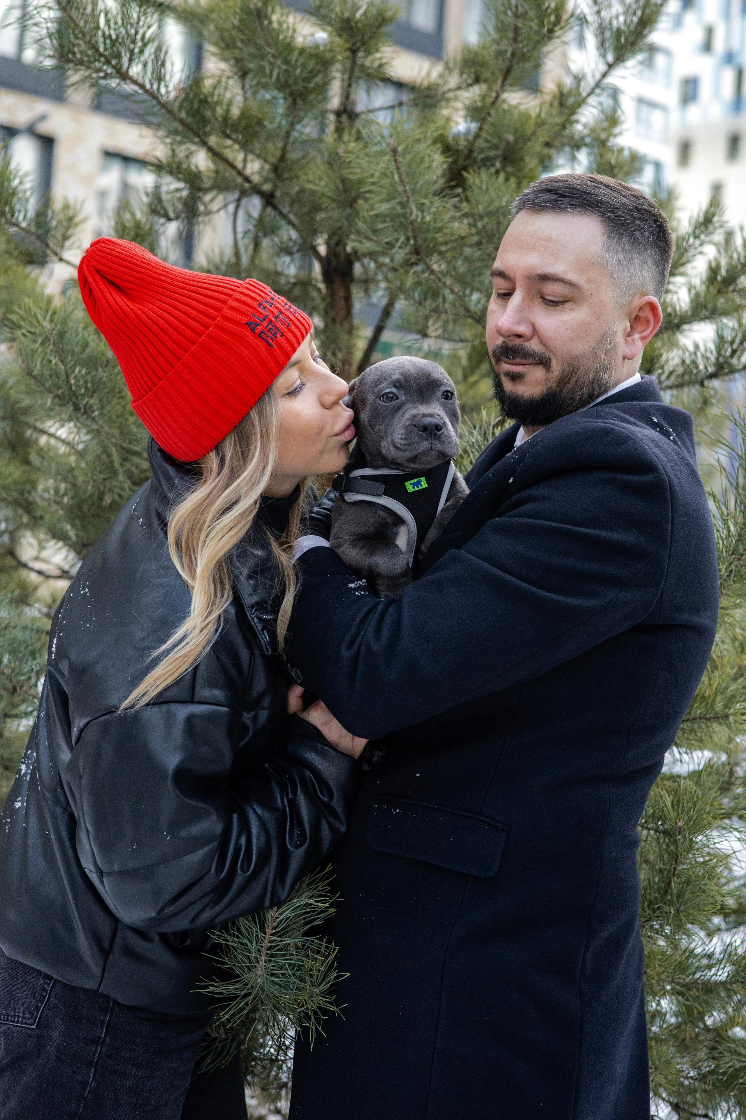 Дарси, Тимур и Юля. Фотограф-анималист Ксения Шевцова|Москва