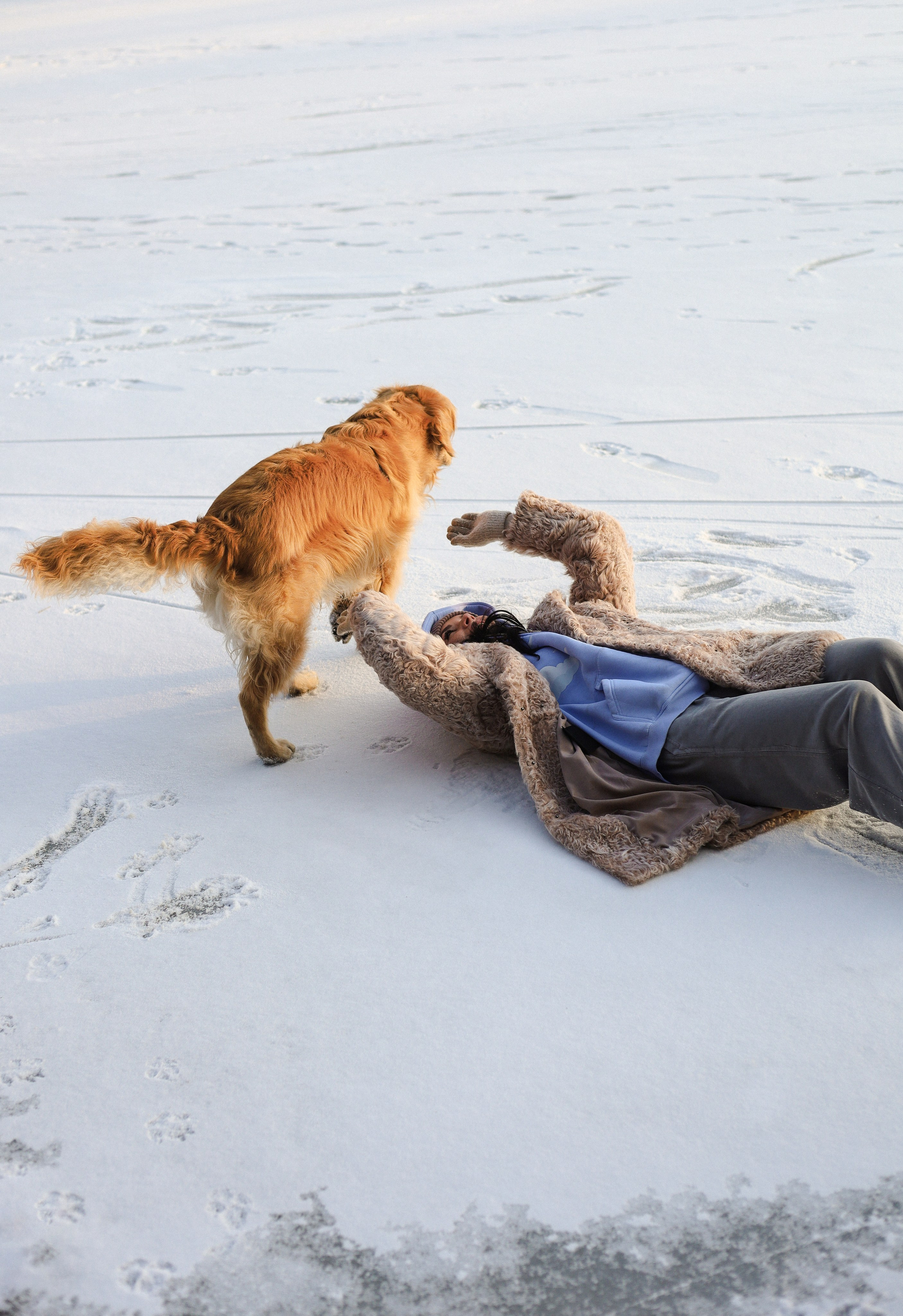 Лёва и Катя. Фотограф-анималист Ксения Шевцова|Москва