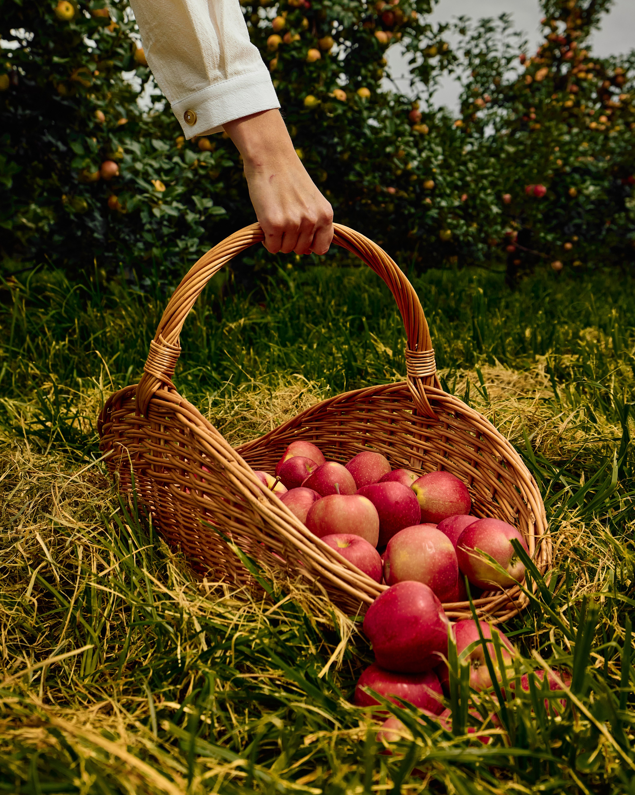 Собрано в саду. Святослав Лебедев | Рекламный фотограф — Коммерческая съемка, Арт-дирекшн, AI-интеграция