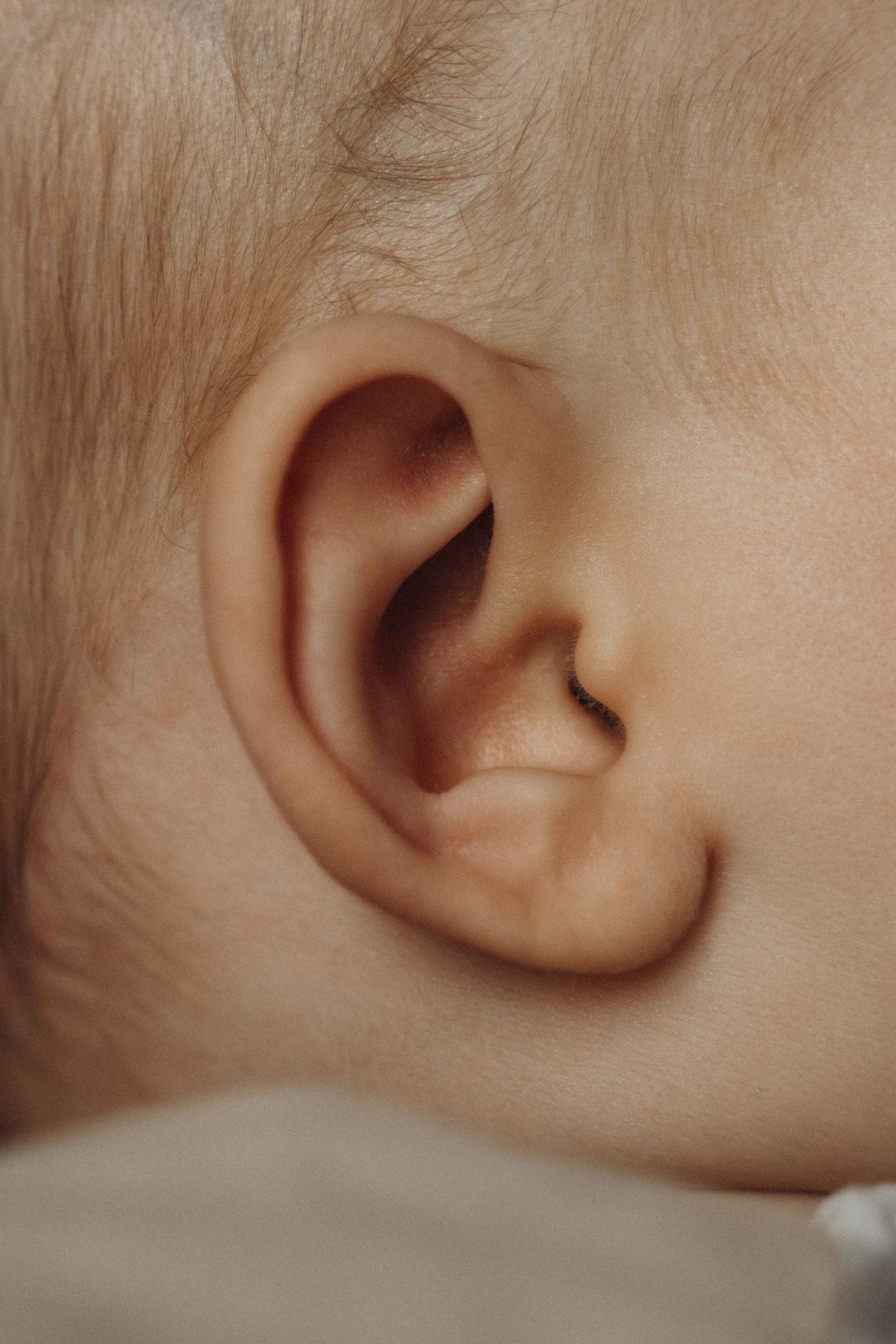 Ньюборн. Фотограф в Москве. Татьяна Родовская