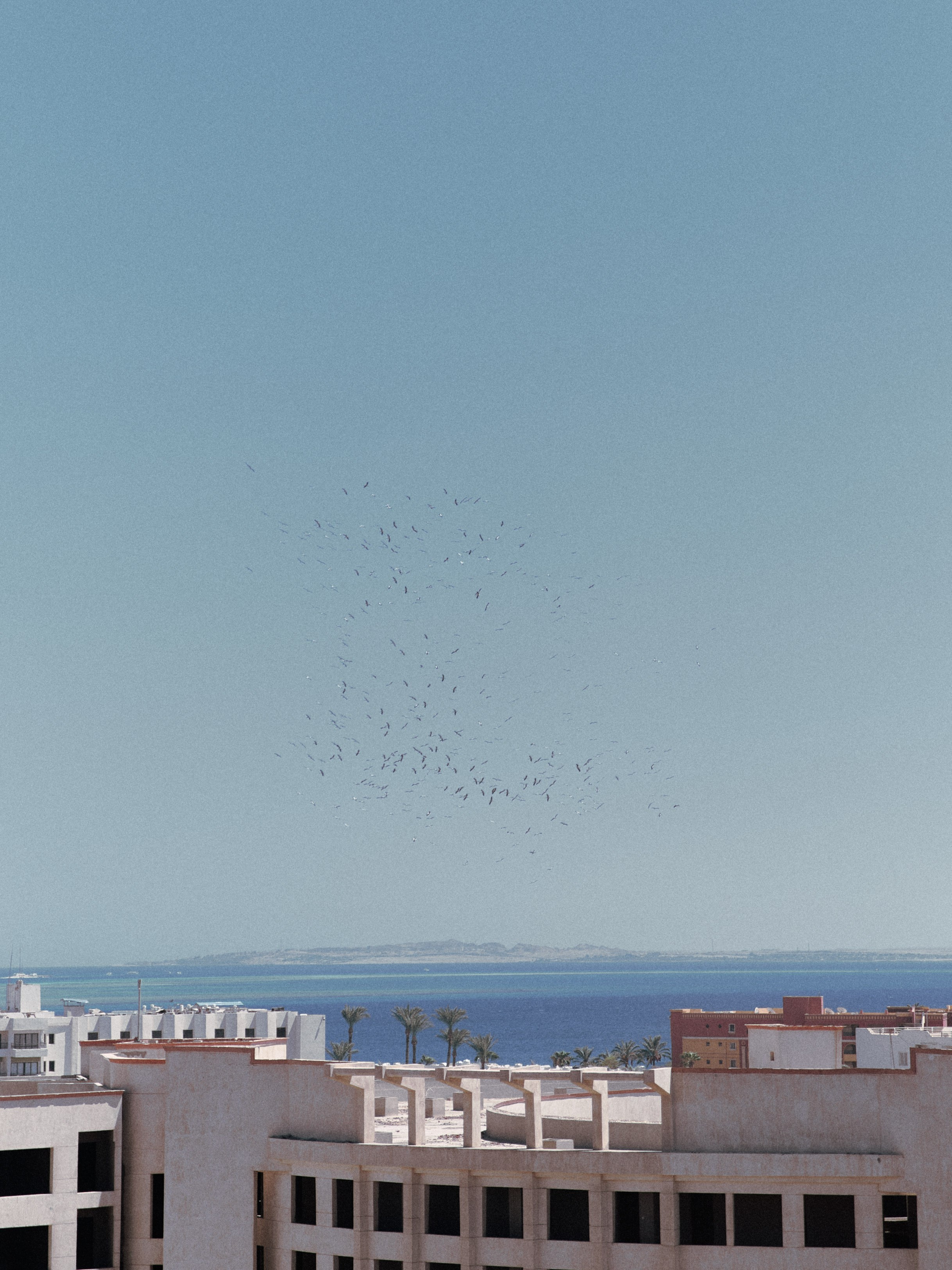 Диптих. Jorgis — фотограф в Хургаде / обучение фотографии