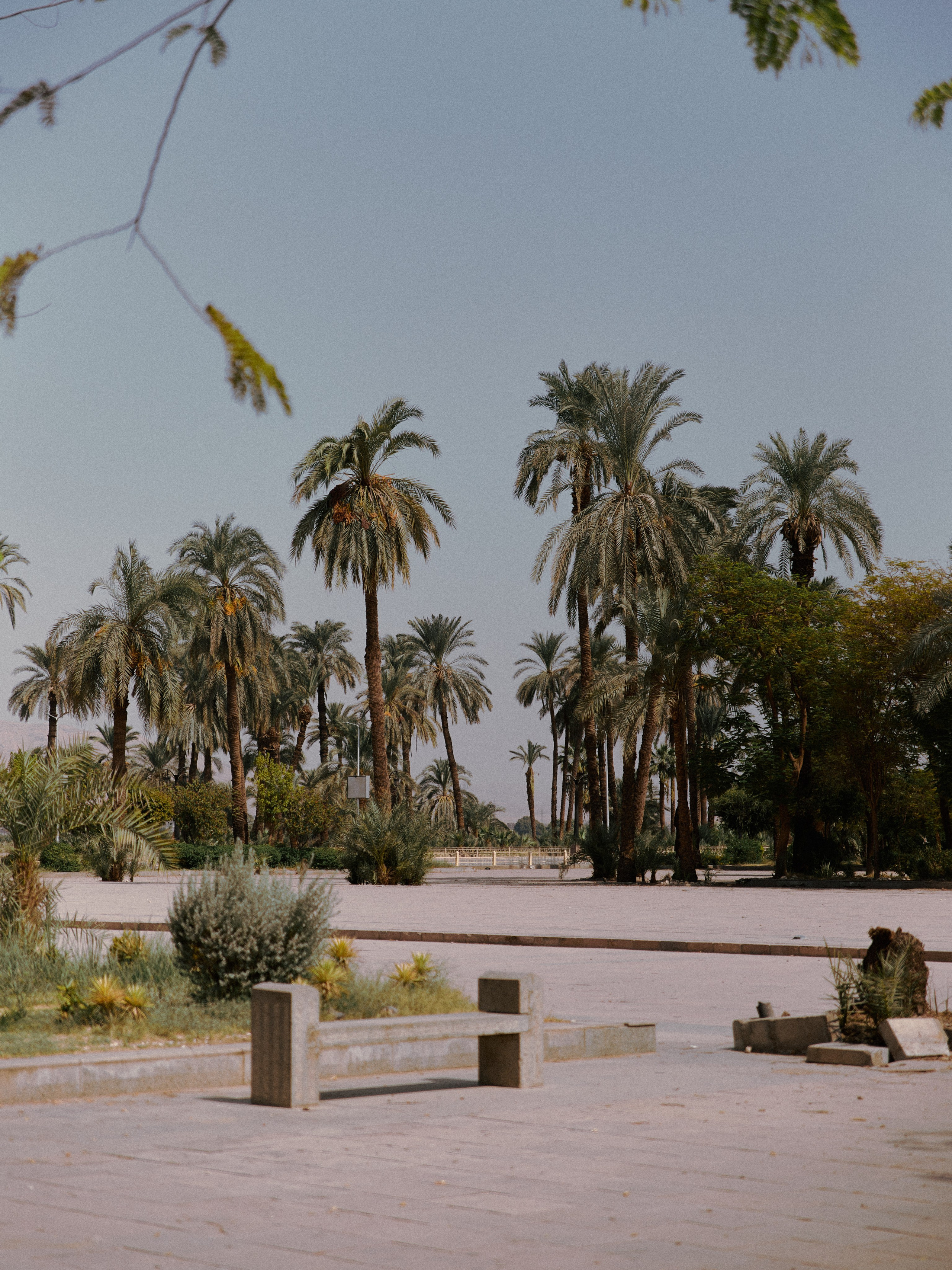 Диптих. Jorgis — фотограф в Хургаде / обучение фотографии