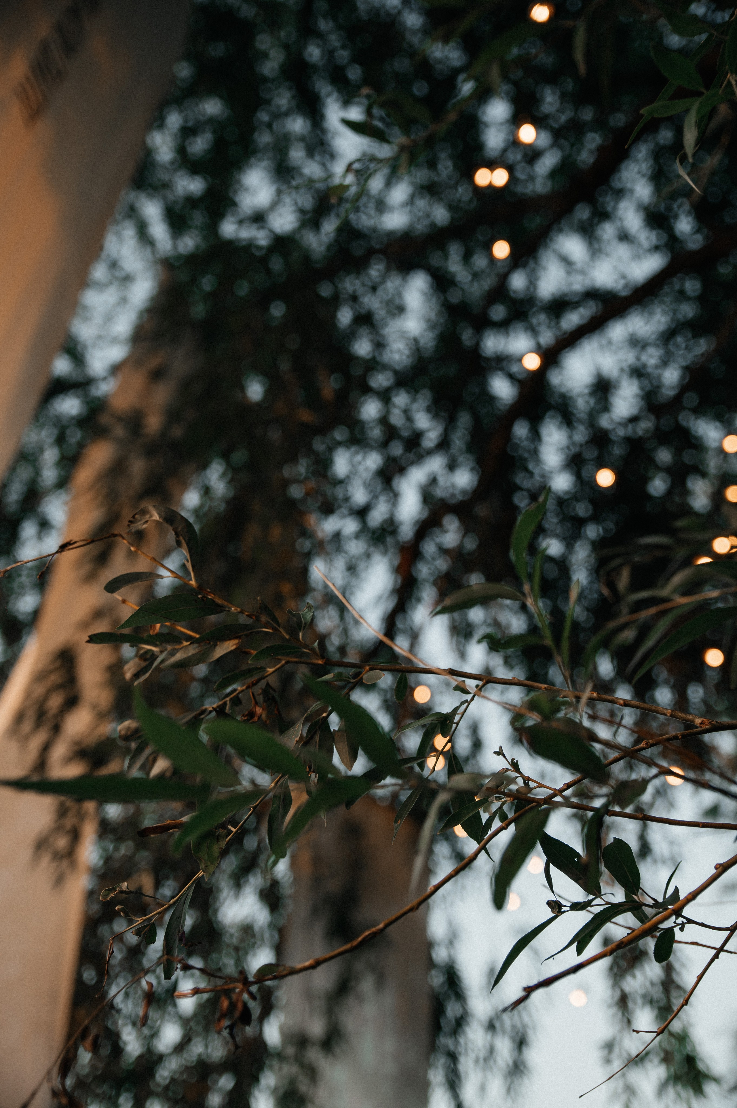 Максим и Лена. Свадебный фотограф Евгения Наумовец