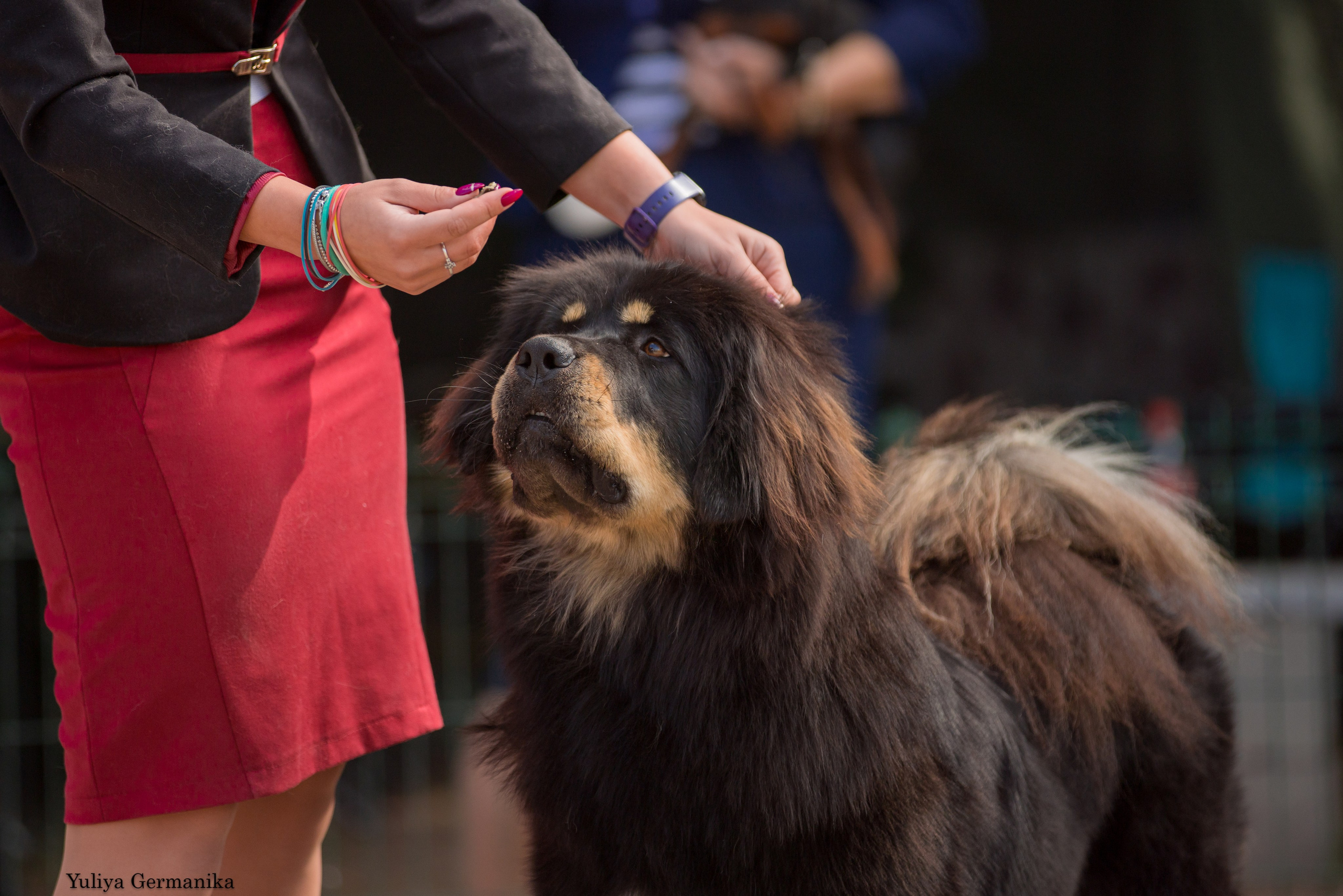 Бишкек 29.09-01.10.2023. Фотограф-анималист Юлия Германика