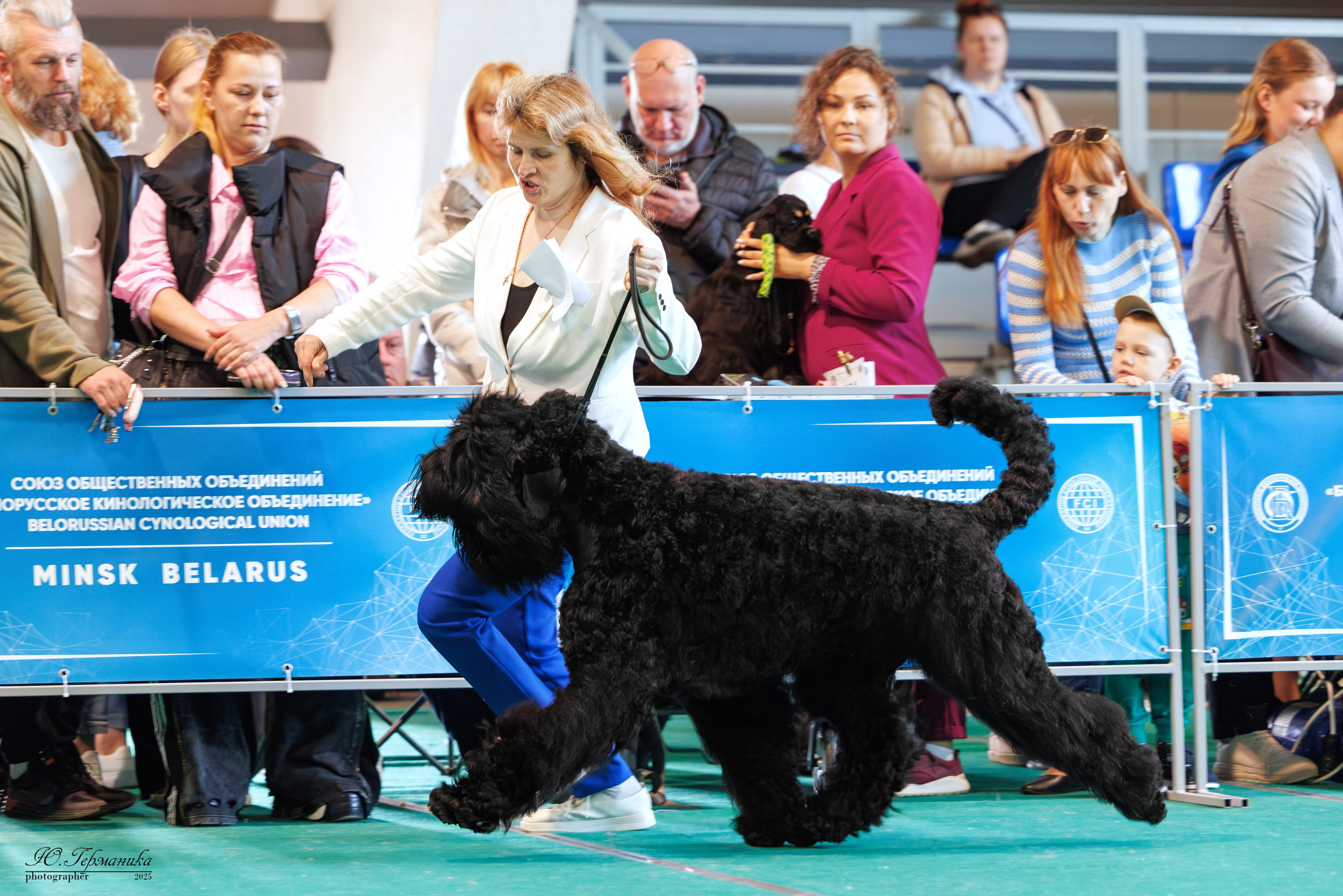Минск 31.05-1.06.2025. Фотограф-анималист Юлия Германика