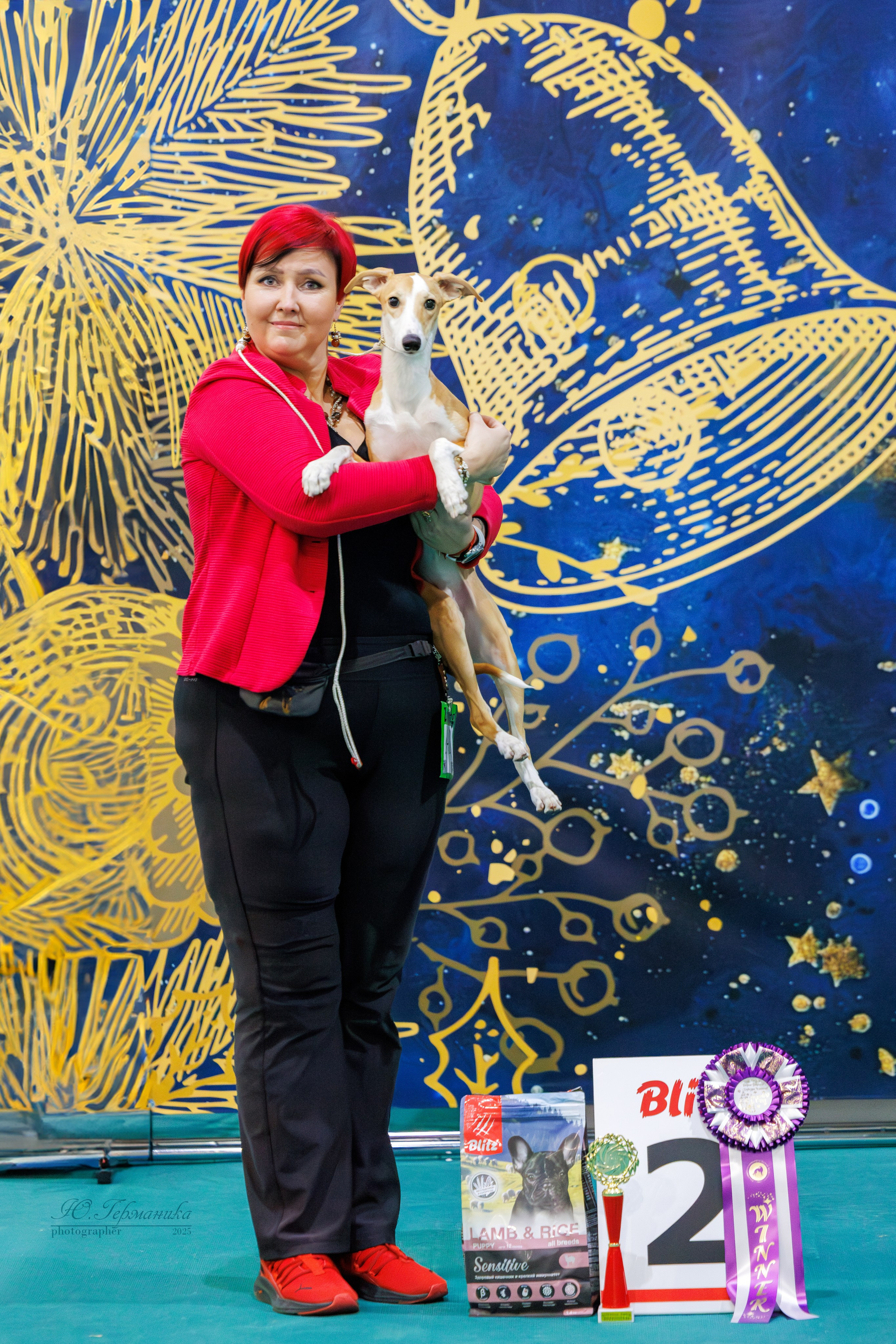 Питер ротвейлеры 18.01,Крокус 19.01.2025. Фотограф-анималист Юлия Германика