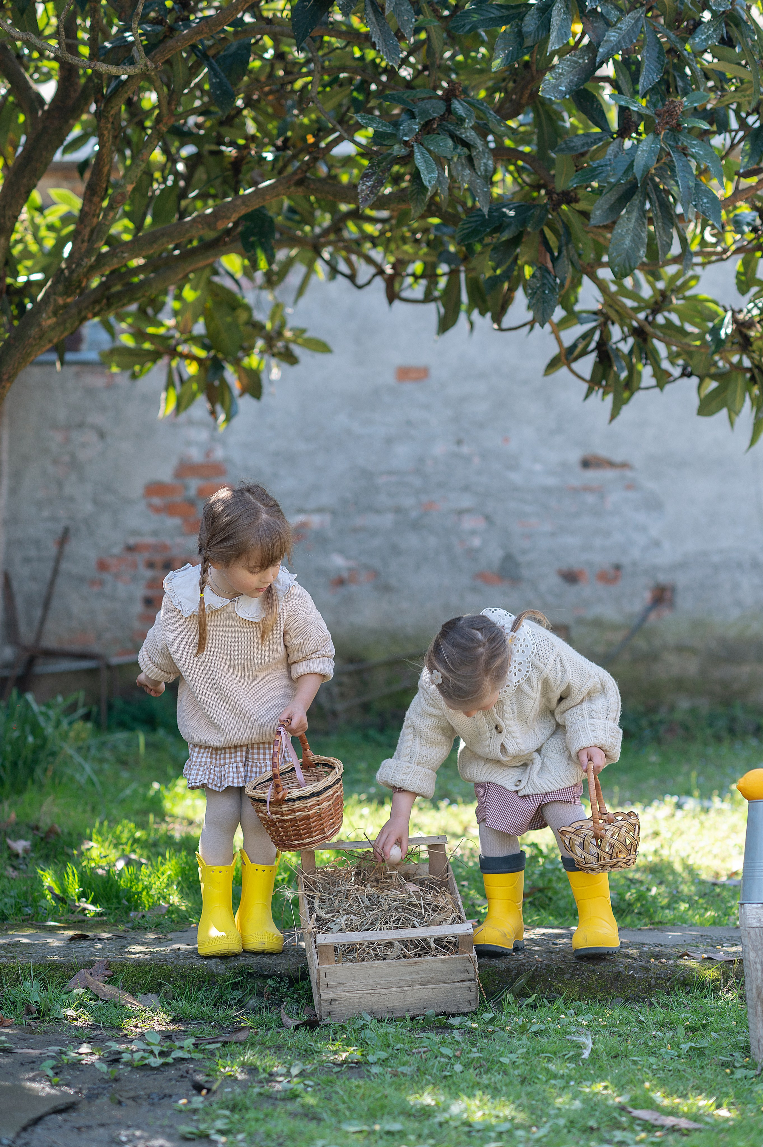 Курочки. Детский фотограф Абхазия