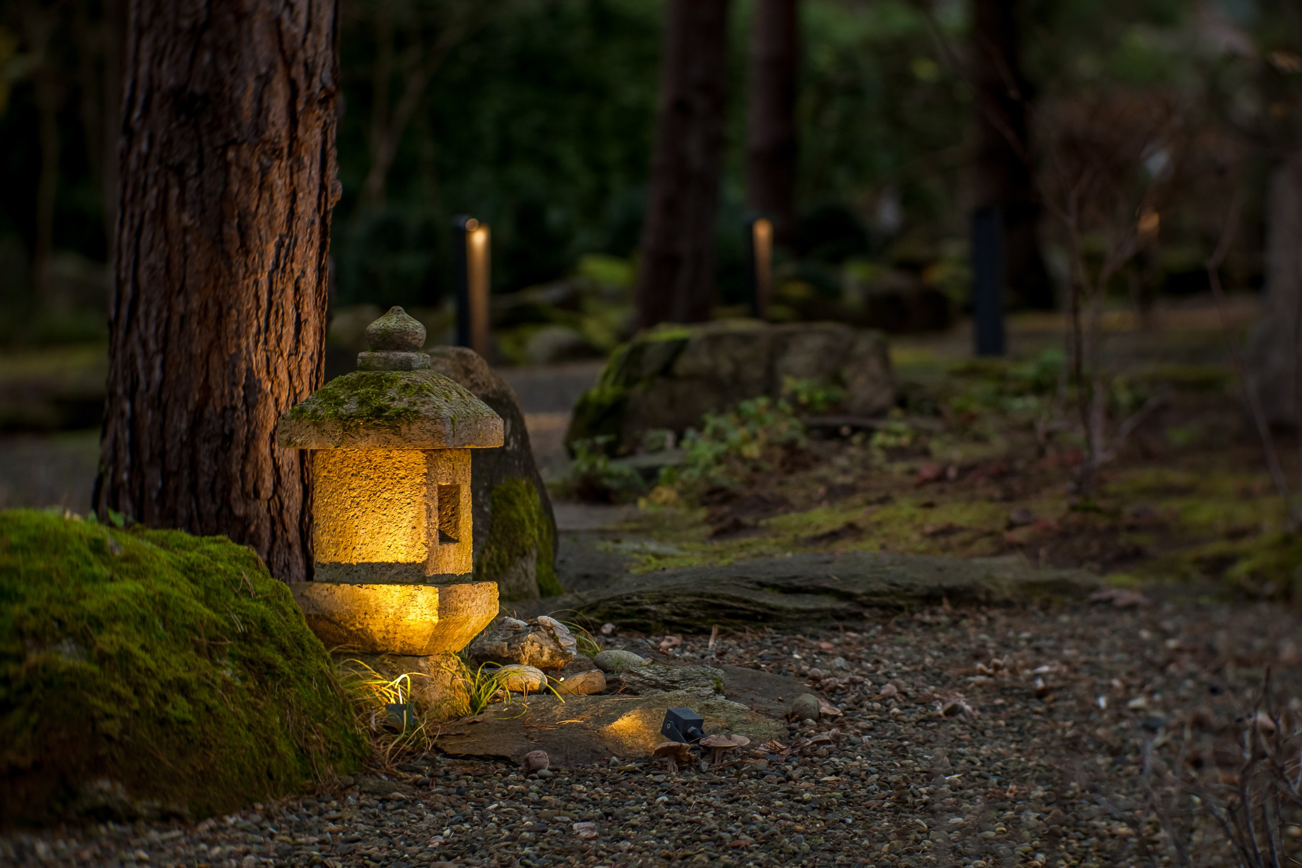 Будто два разных сада, два состояния, два измерения...Сад "Сиреневый туман" (автор сада: Елена Асташкина (http://t.me/ast_landscape)) с вечерней подсветкой читается и ощущается по разному. Усиливается таинственность, появляется загадка, а в голове рождаются совсем другие образы, сюжеты и чувства🙏😍.Как же сильно влияют свет, тени и температура освещения на наше восприятие и на нашу психику.