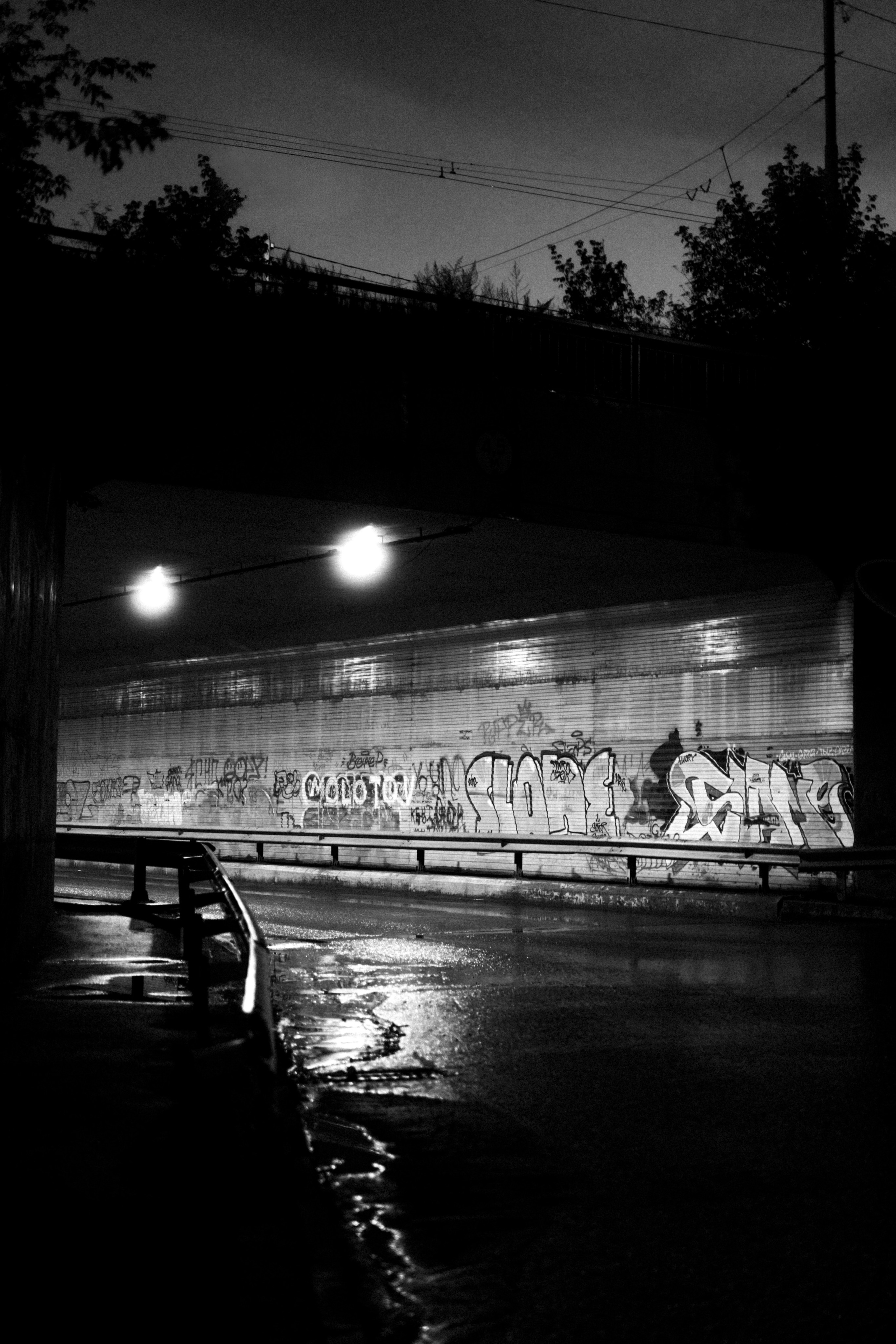 Прогулка после дождя. Veronika Popadeikina Photographer