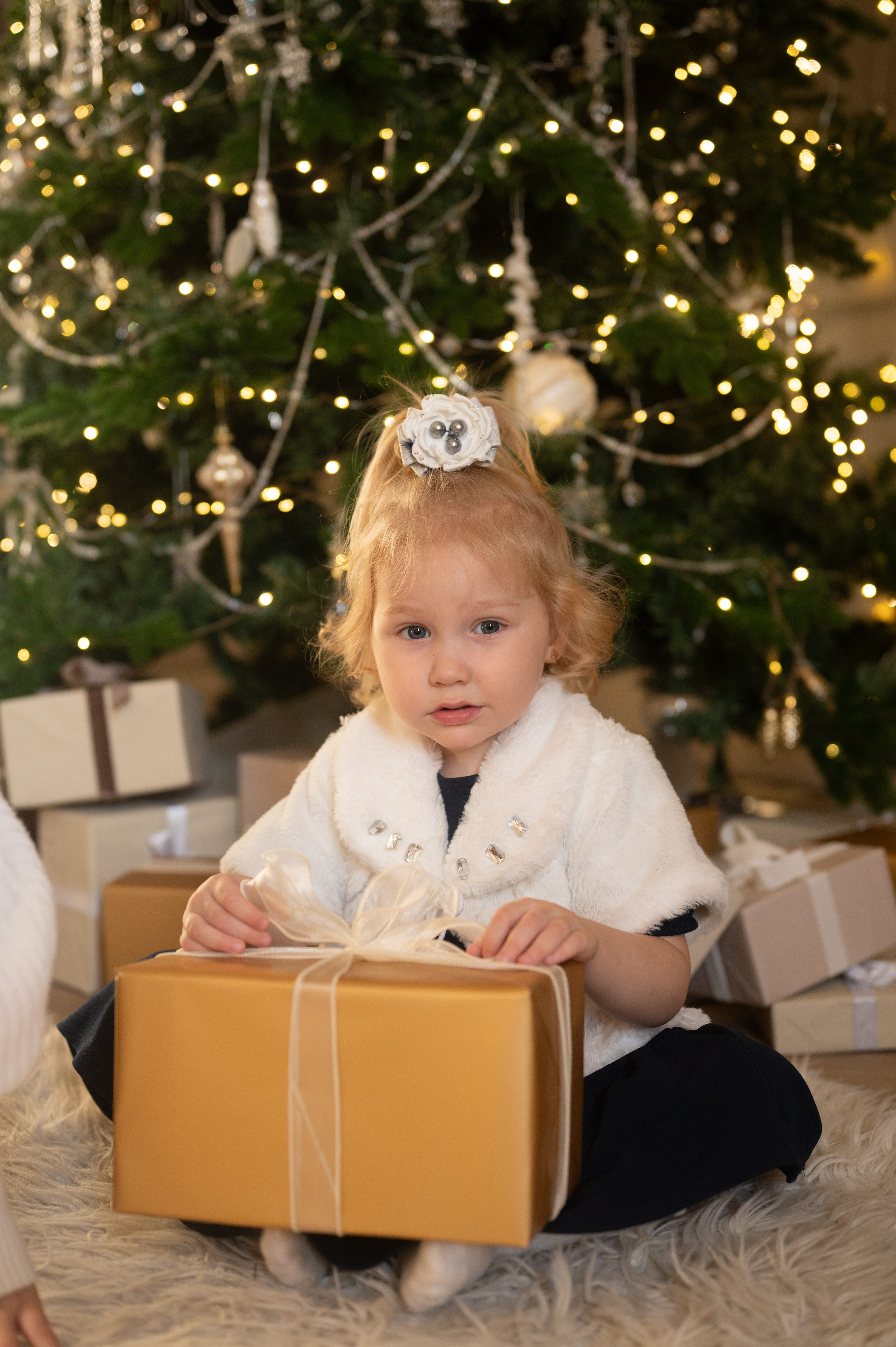 Фотостудия «Файн-арт» Новый год 2024-25. Фотограф новорожденных, семейный детский в Тюмени Татьяна Морозова