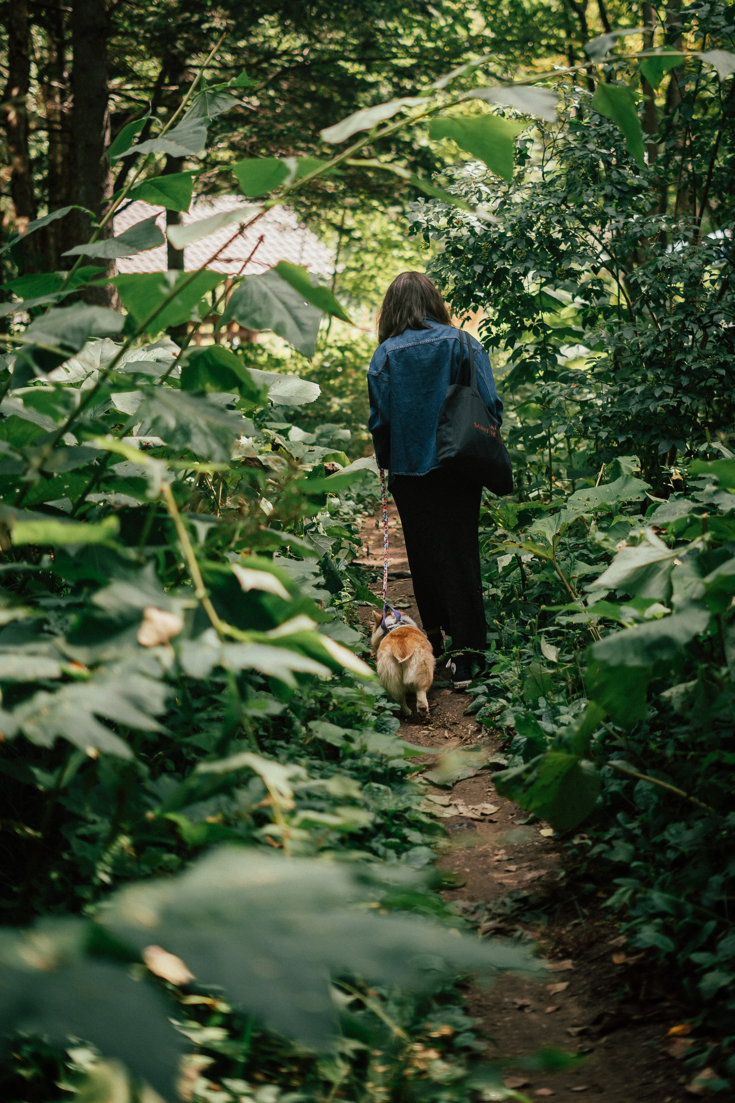 Фотосессия с собакой сахалин. Фотограф сахалин