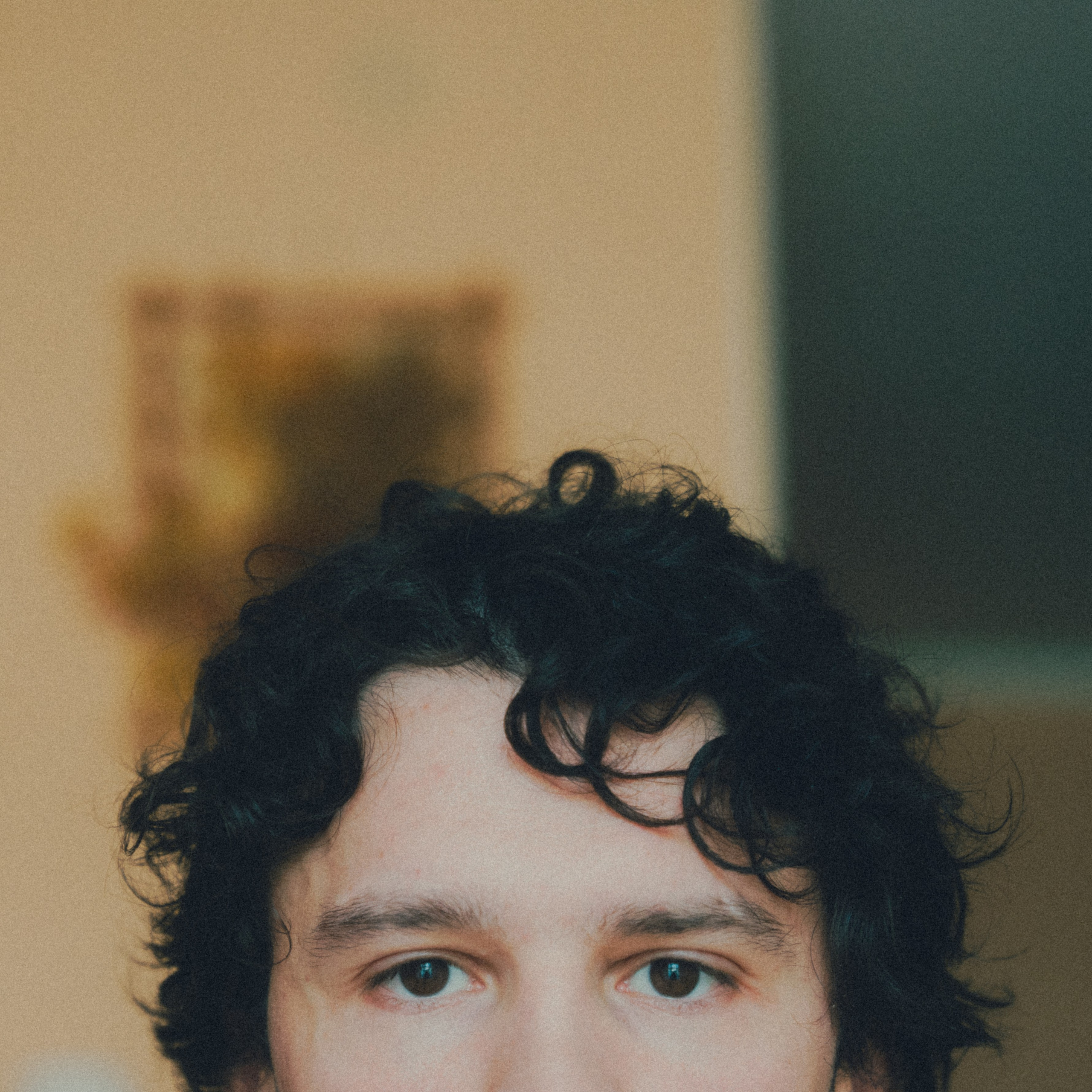 Personality. VISUAL ARTIST · KRONGAUZ ANASTASIA