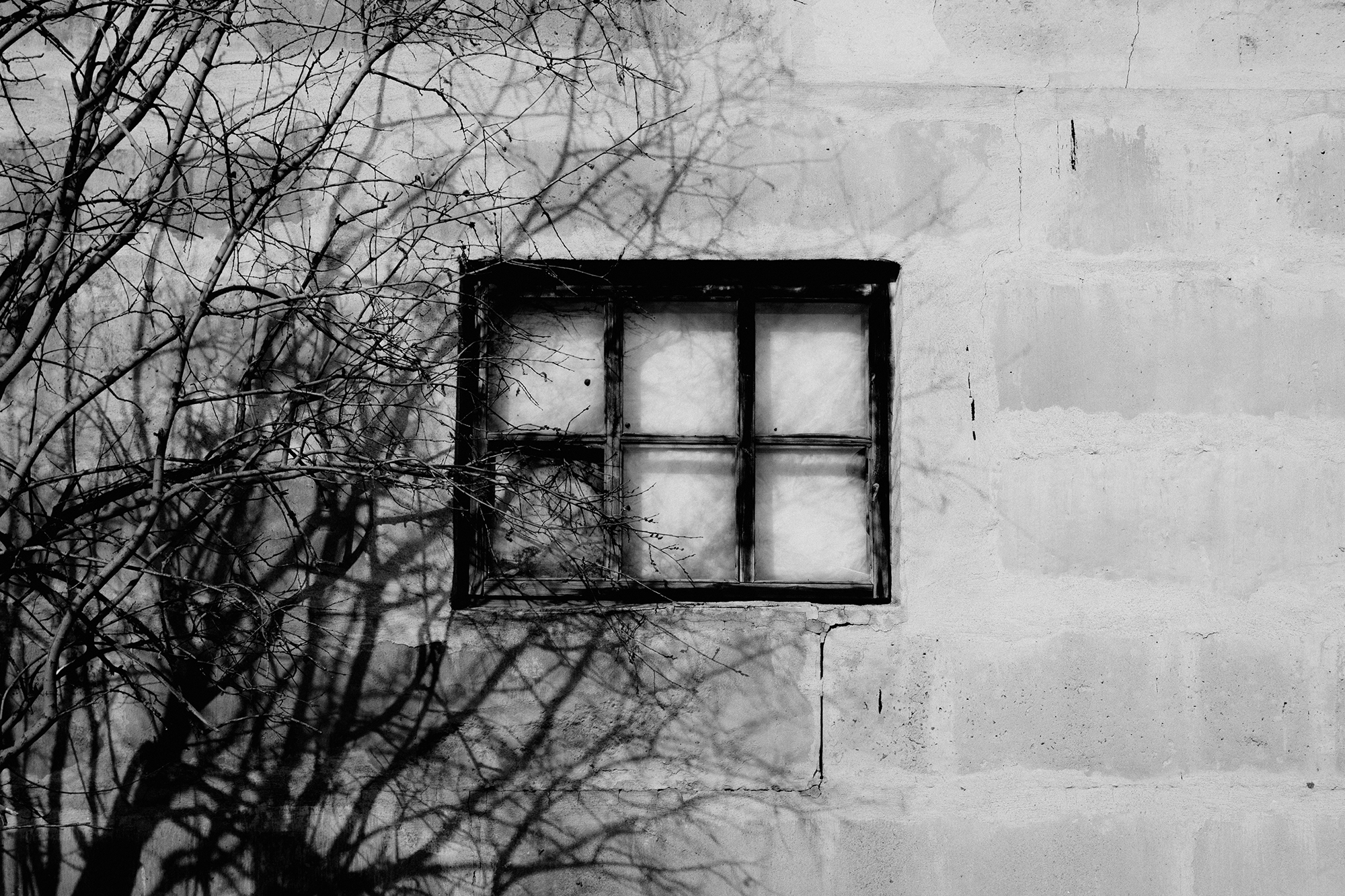 № 2. WAYHAY — Портретный фотограф