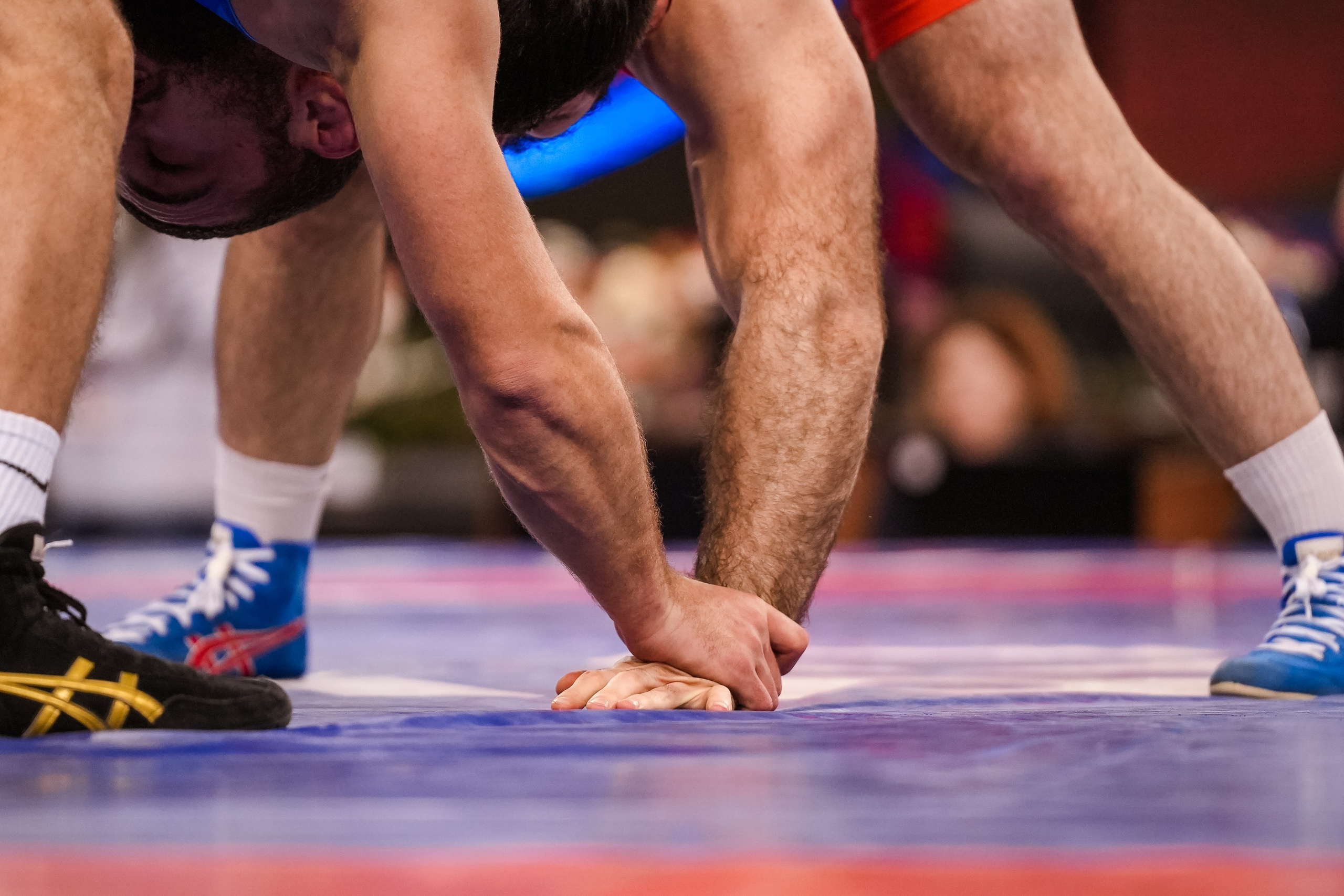 Кубок Ивана Ярыгина 2025 фотографии / ivan yarygin cup 2025 photos. Фотограф Анна Герман. Красноярск