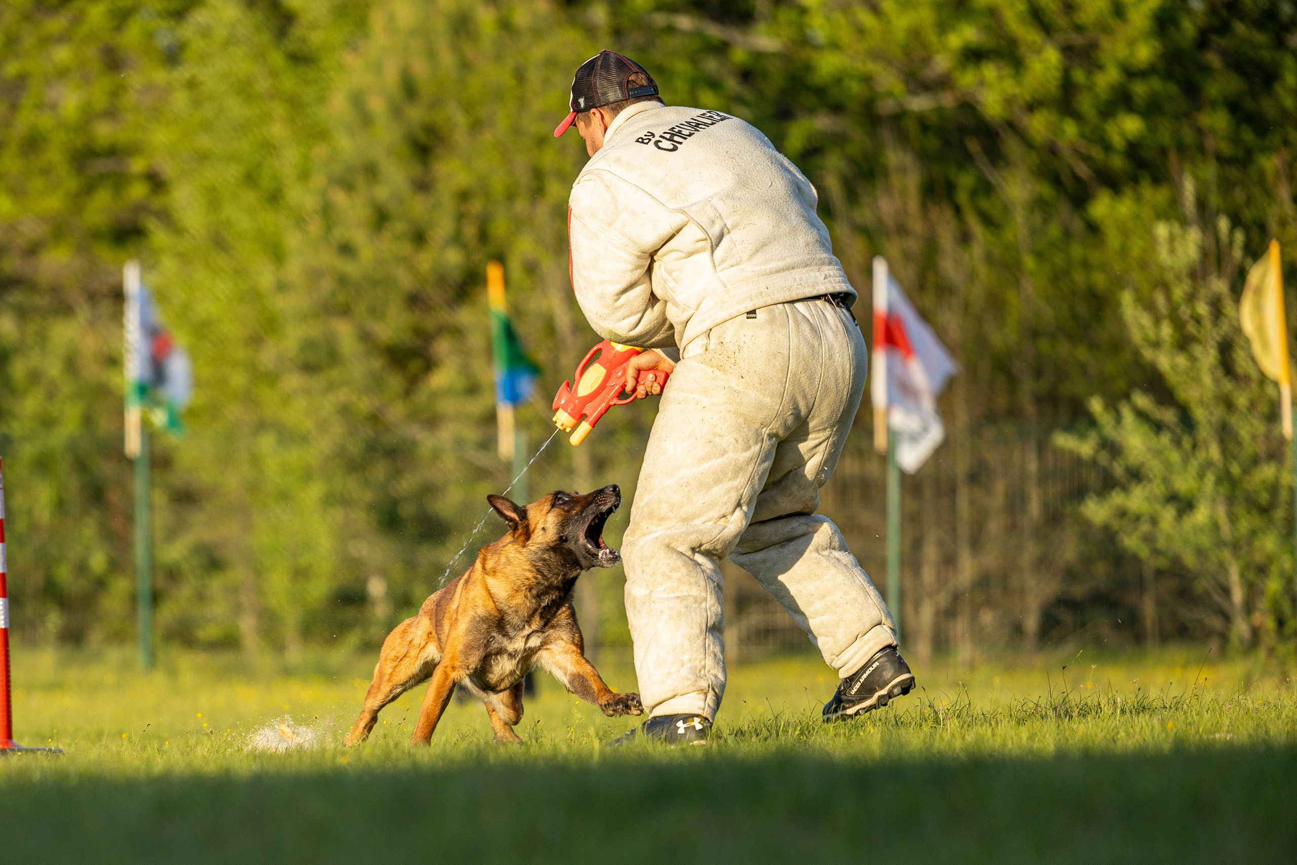 Испытания по мондьорингу в Нижнем Новгороде. Фотограф-анималист Анна Маринич