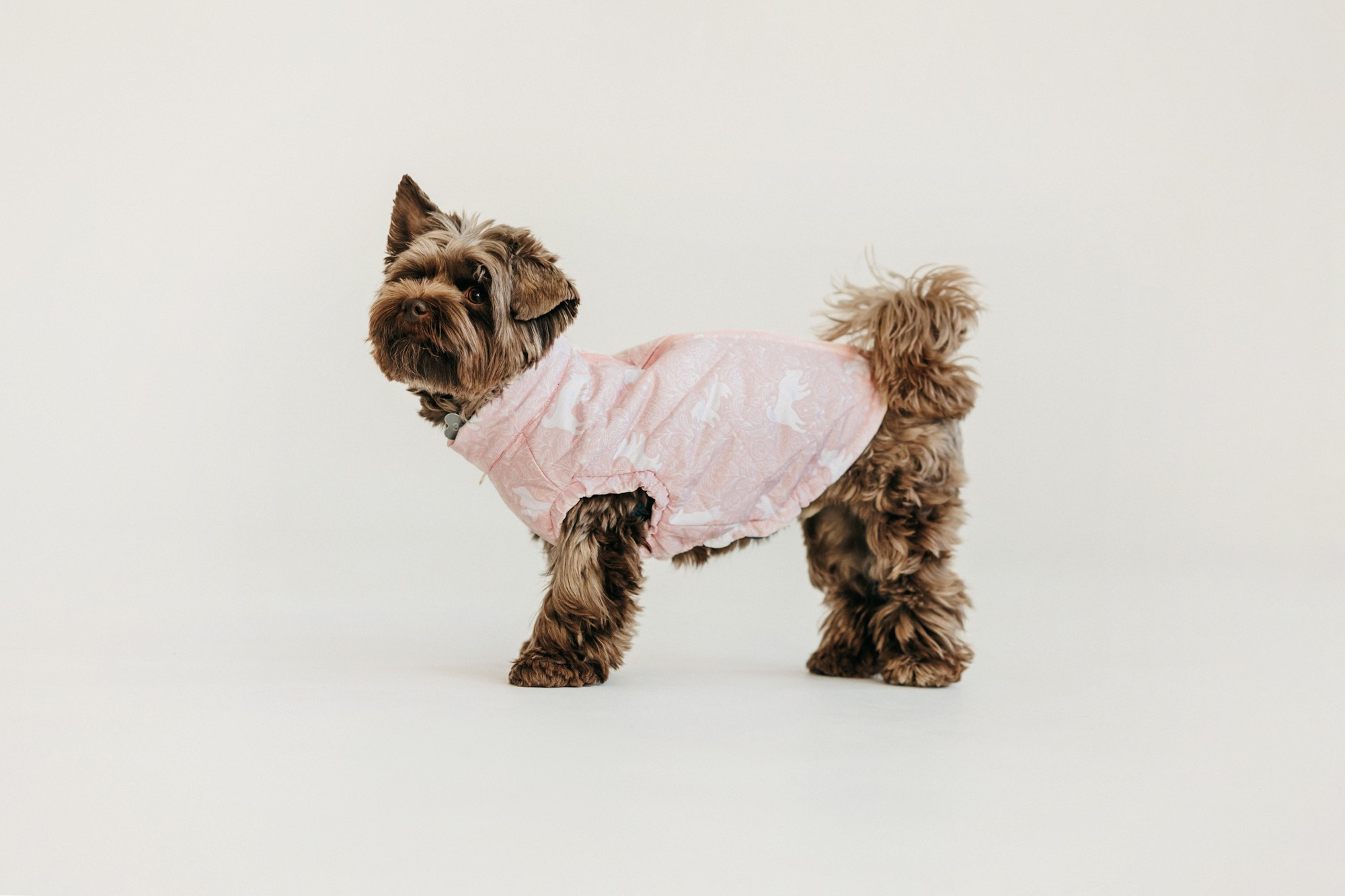 Одежда Lapa`s brand. Фотограф-анималист Елена Радченко, Москва