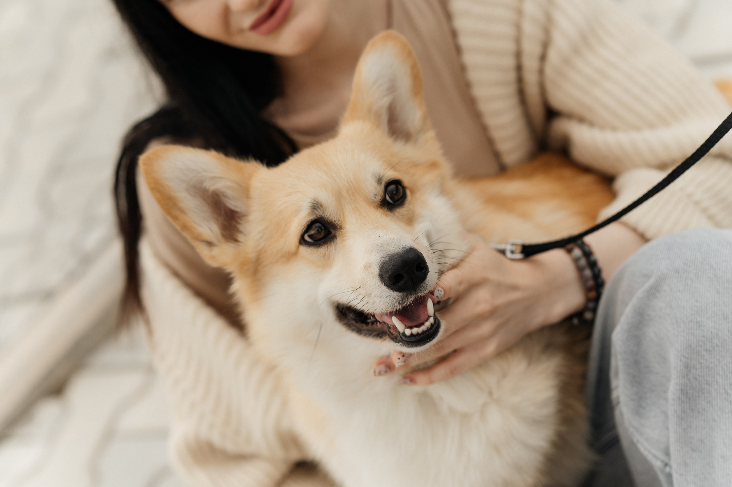 Алеся и Фокс. Фотограф Виктория Грибова г. Вологда