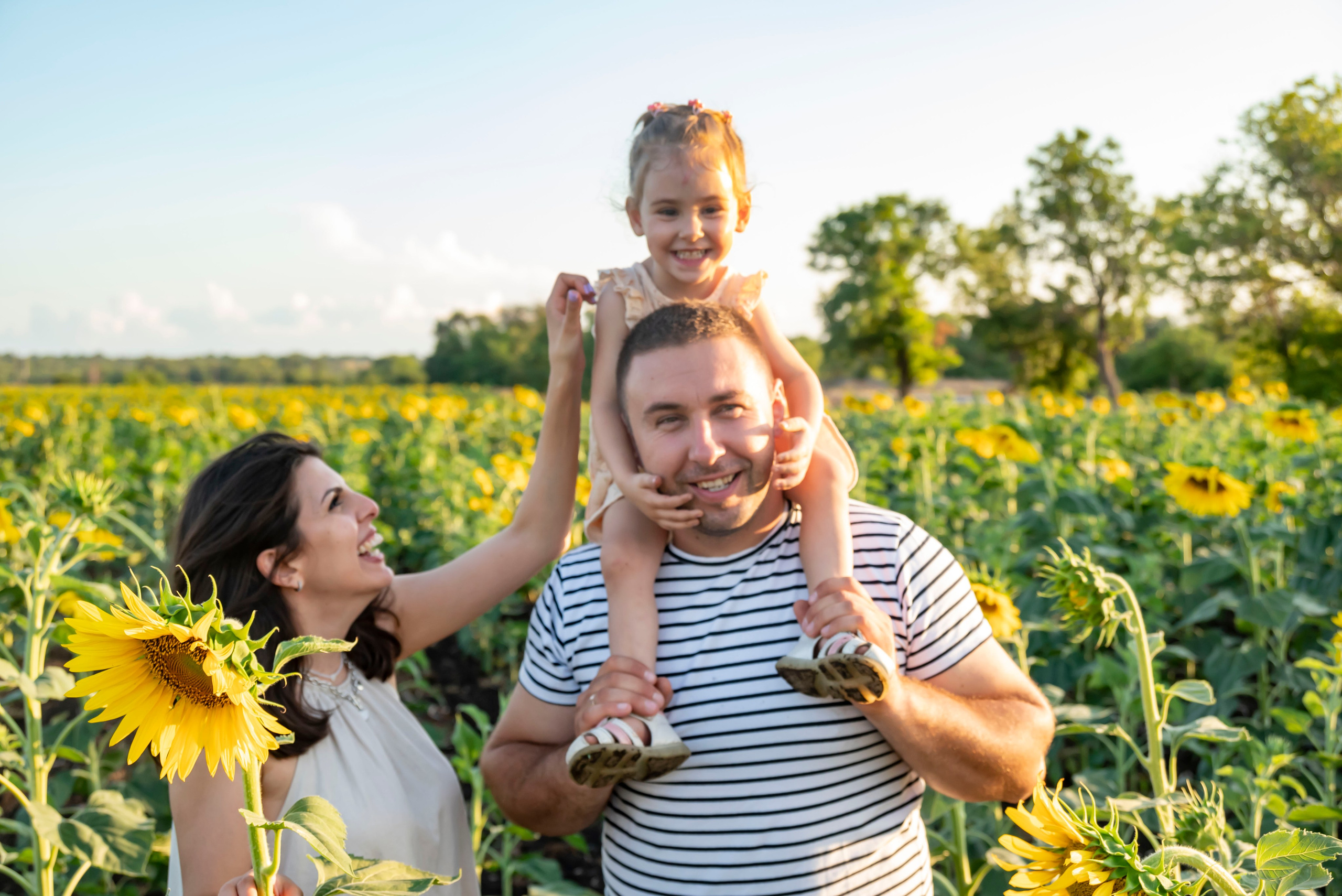 Летняя прогулка. Главная