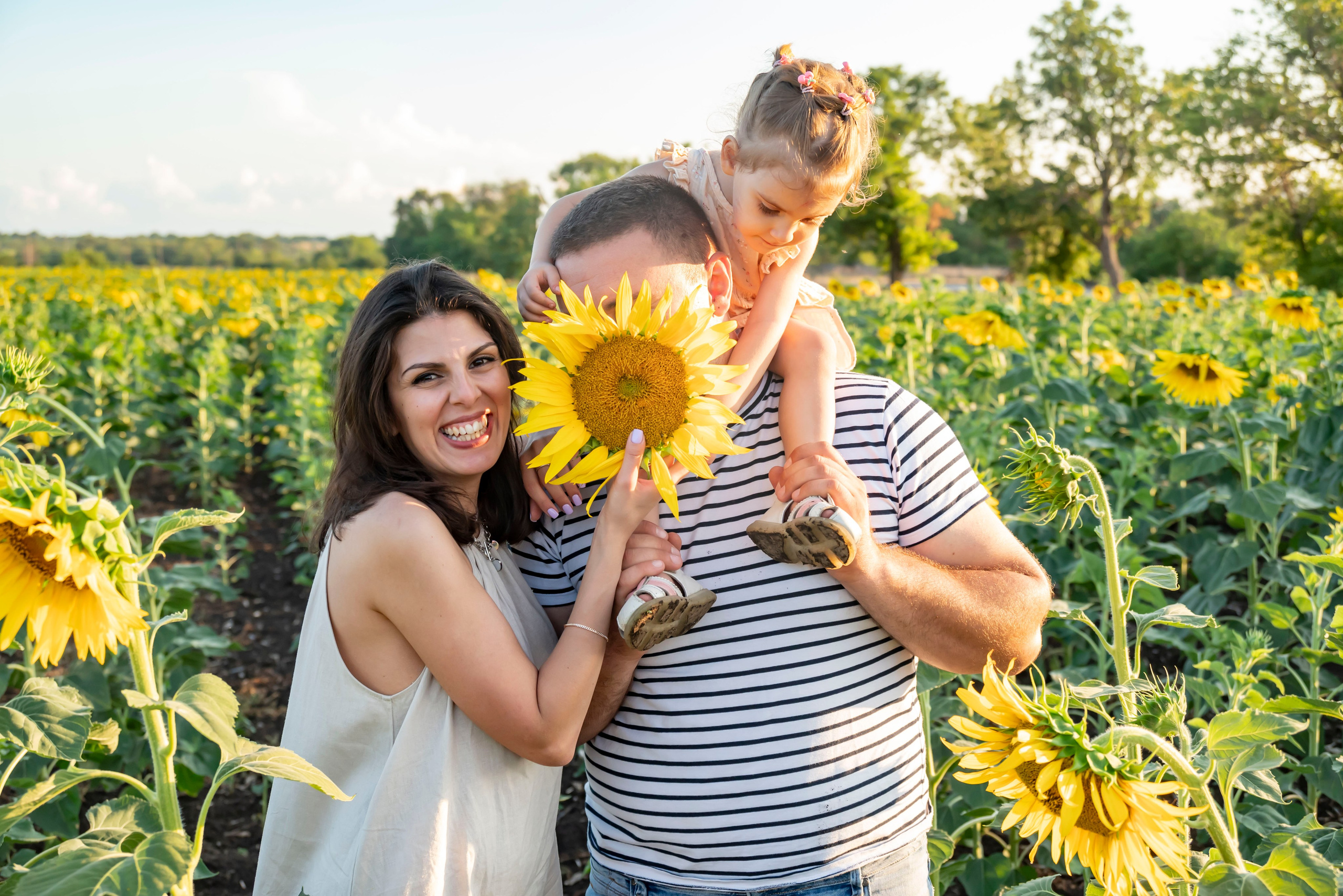 Летняя прогулка. Главная