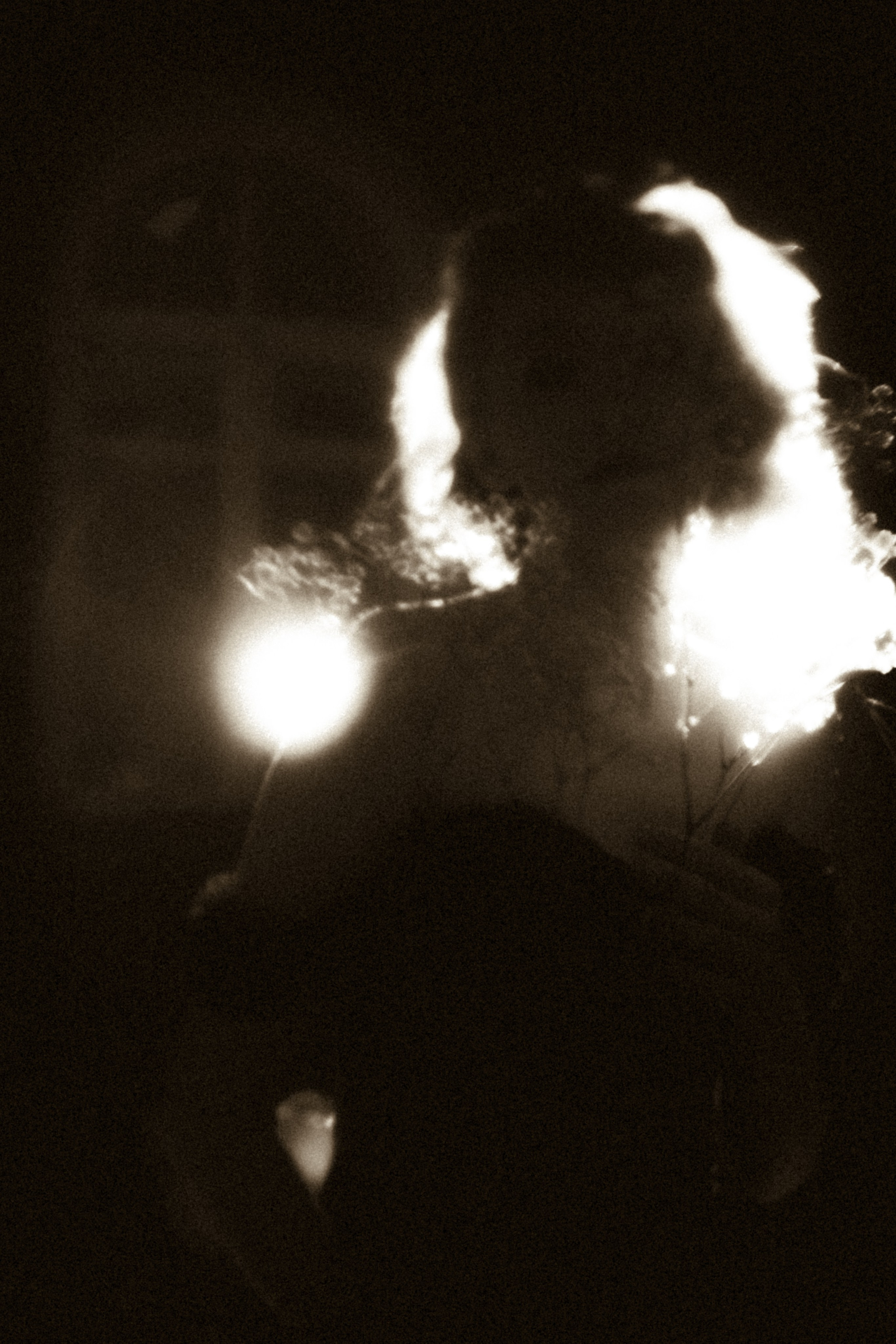 Алина. Ель Татьяна Григ ~ винтажный фотограф ~ Москва