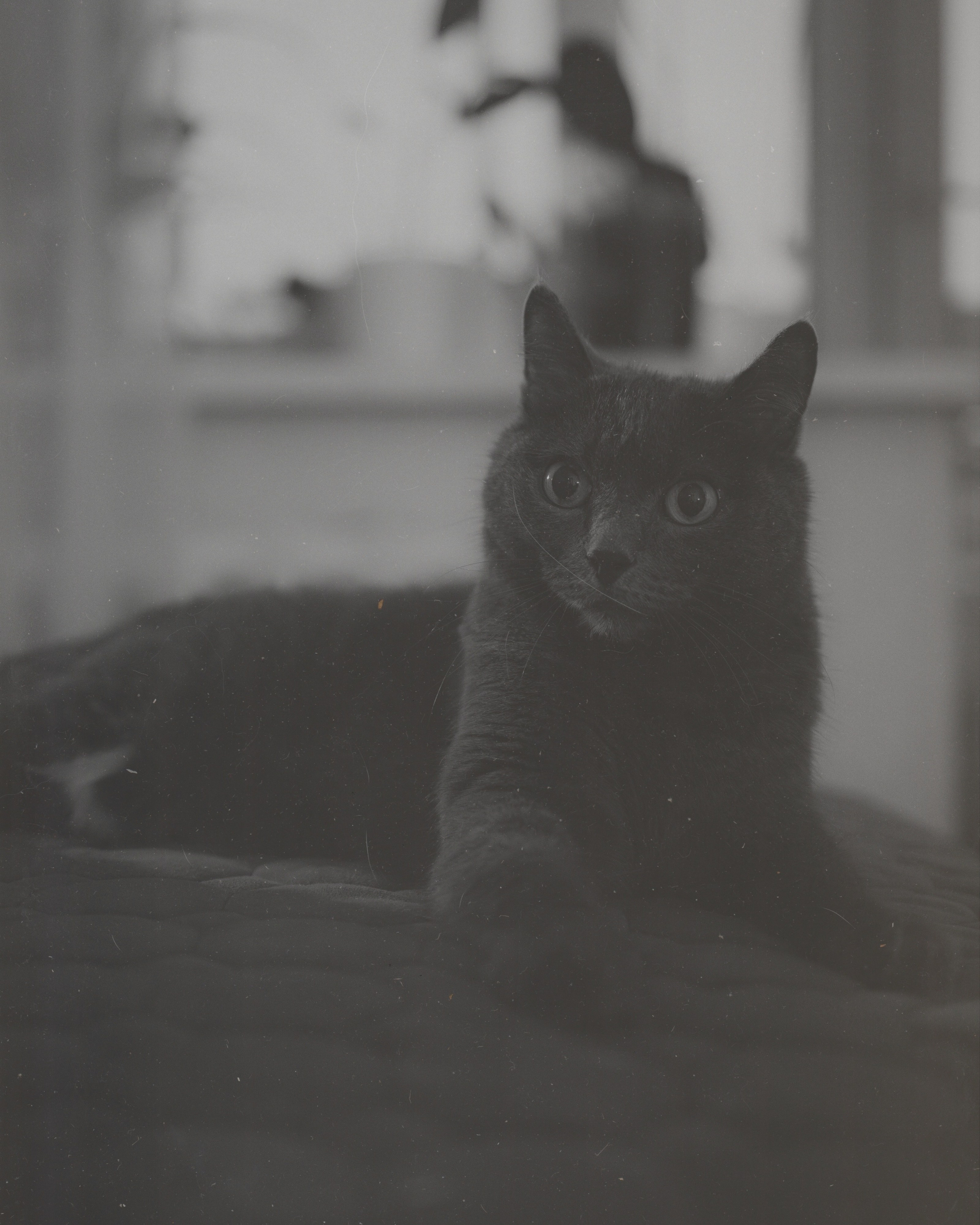 Галя и Саша. Екатерина Пашкова, фотограф, видеограф в Томске