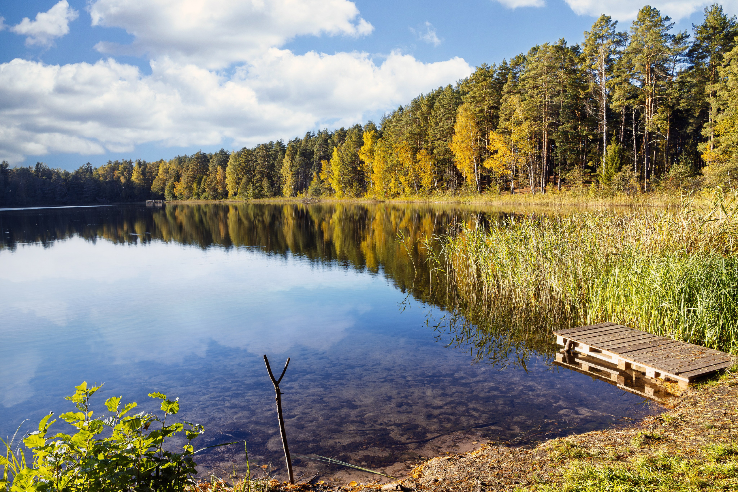 Голубые озера, Псковская область. Октябрь 2024. Фотограф Никифоров-Гордеев Сергей. Москва и МО