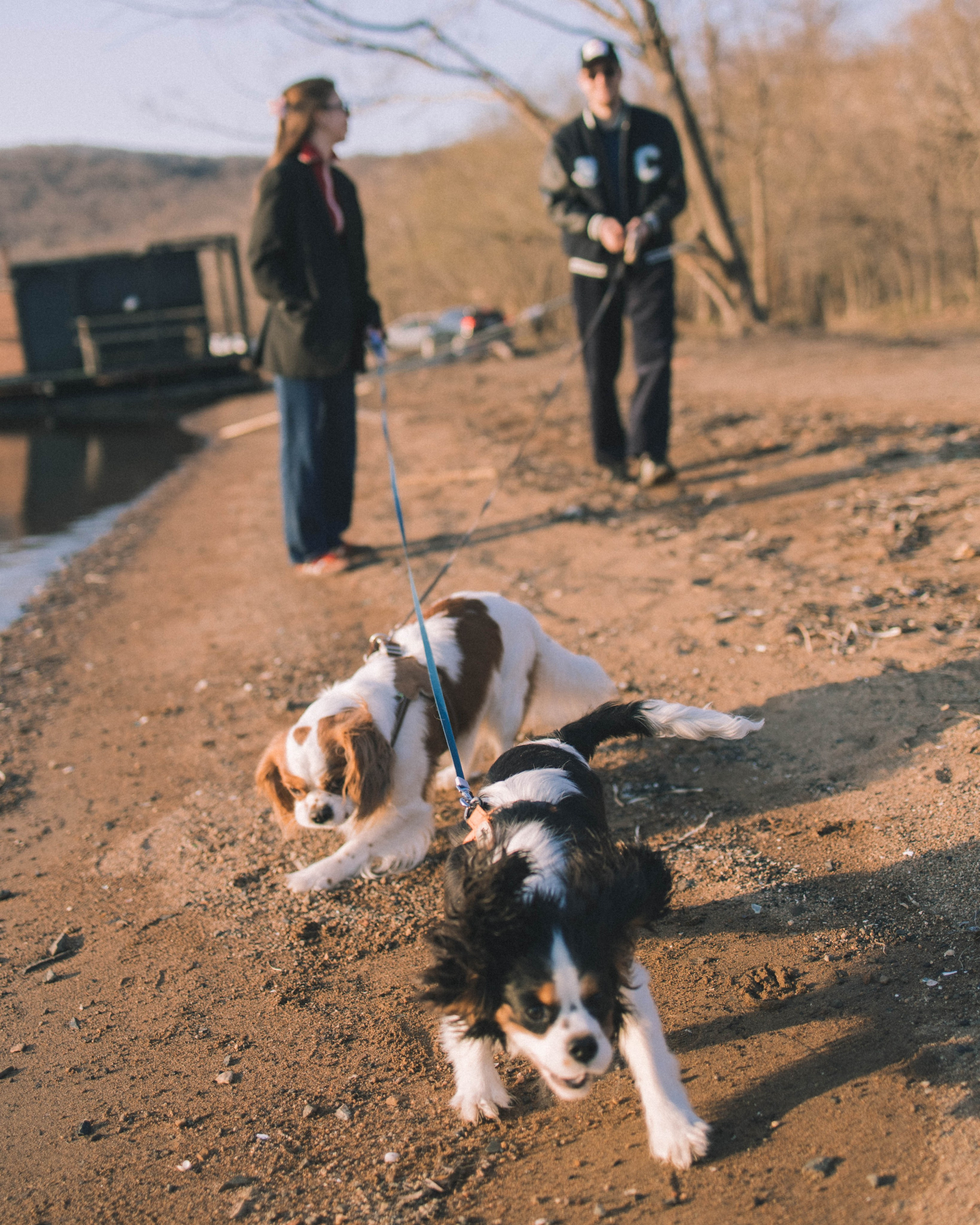Кирилл и Мелания. Фотограф Виктория Куприянова